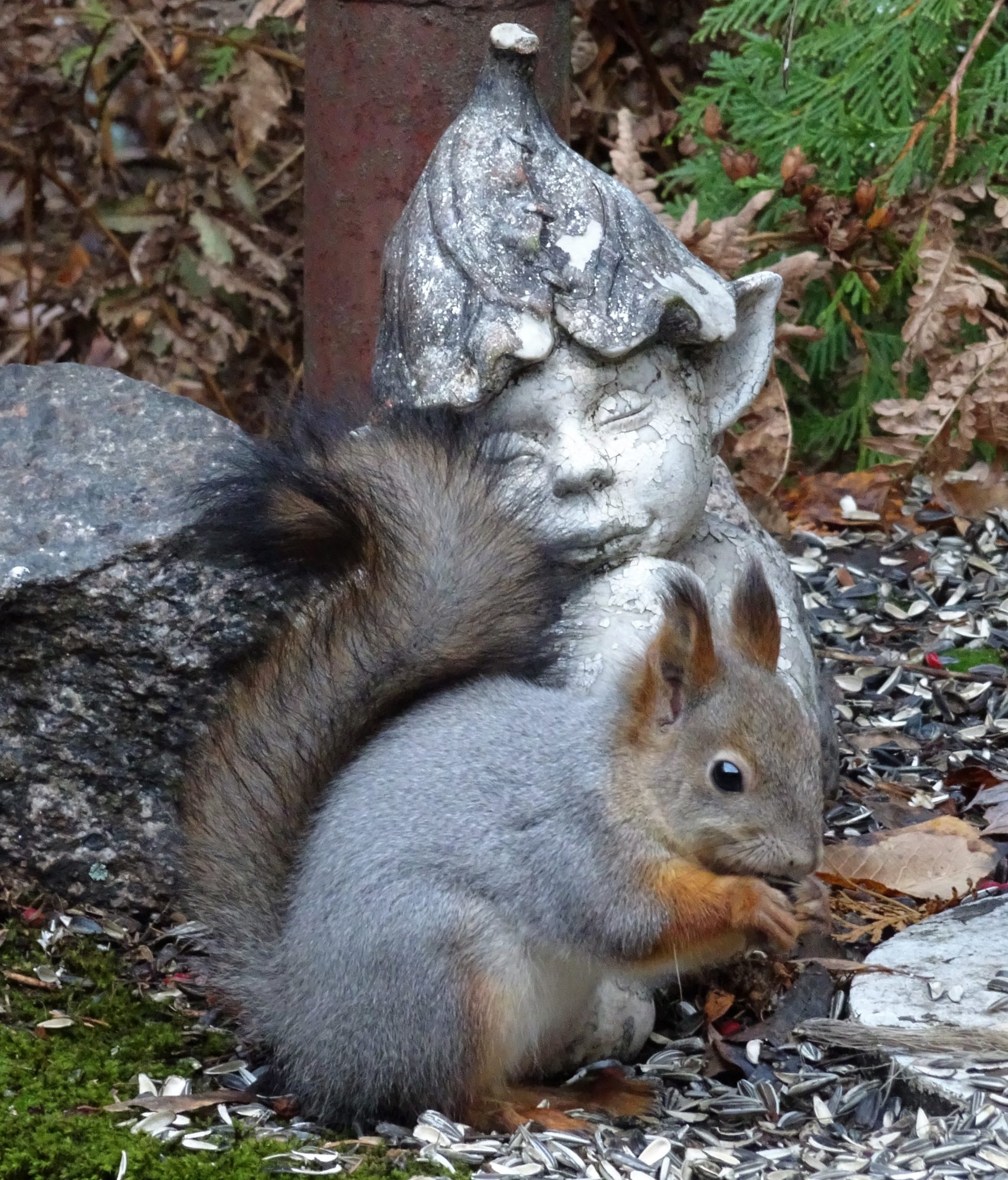 Valokuvaaja: Irja Lehtinen Valokuvaaja: Irja Lehtinen