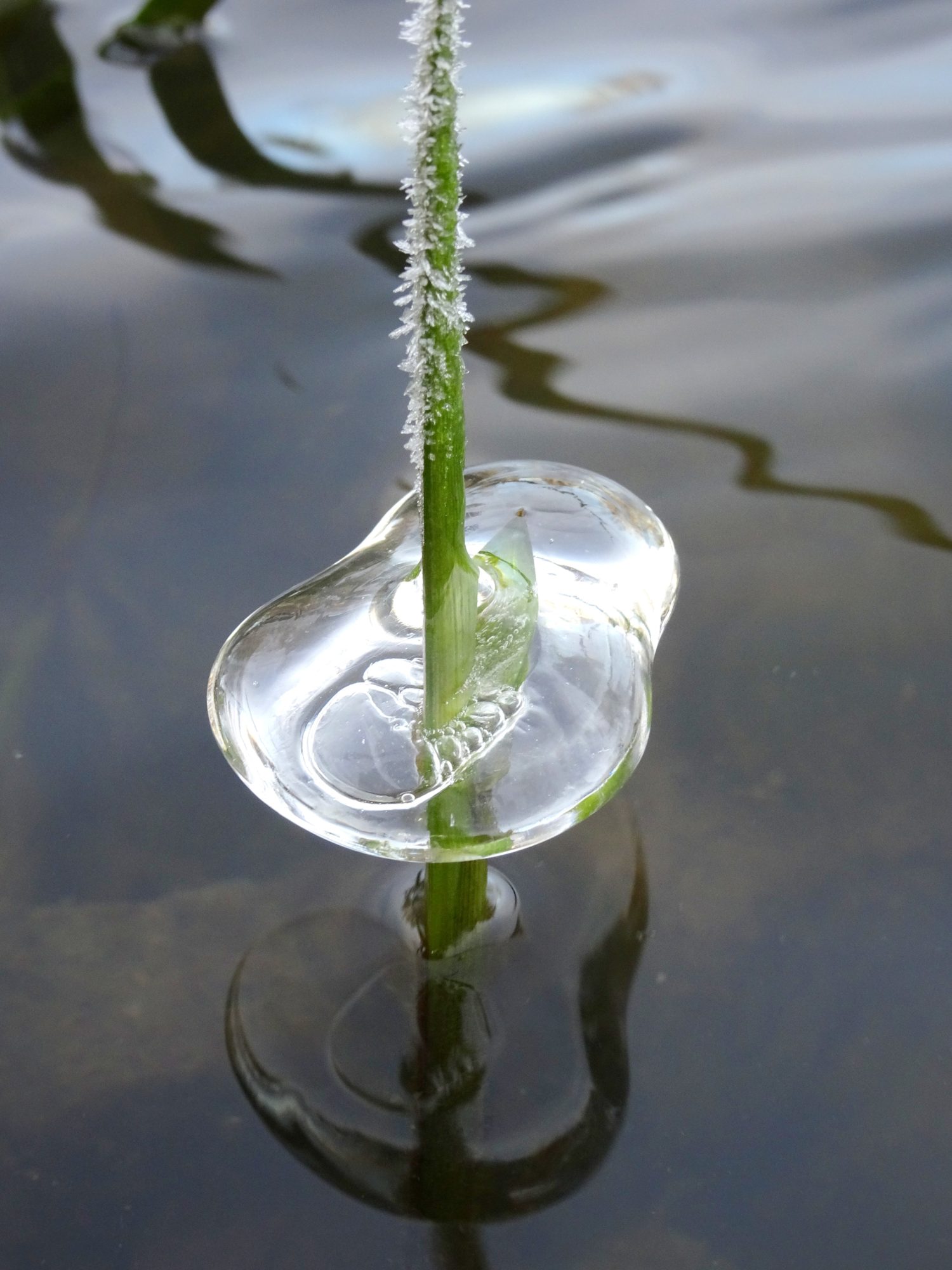 Valokuvaaja: Irja Lehtinen