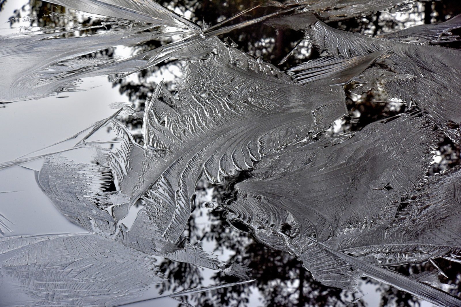 Valokuvaaja: Reijo Juurinen Valokuvaaja: Reijo Juurinen