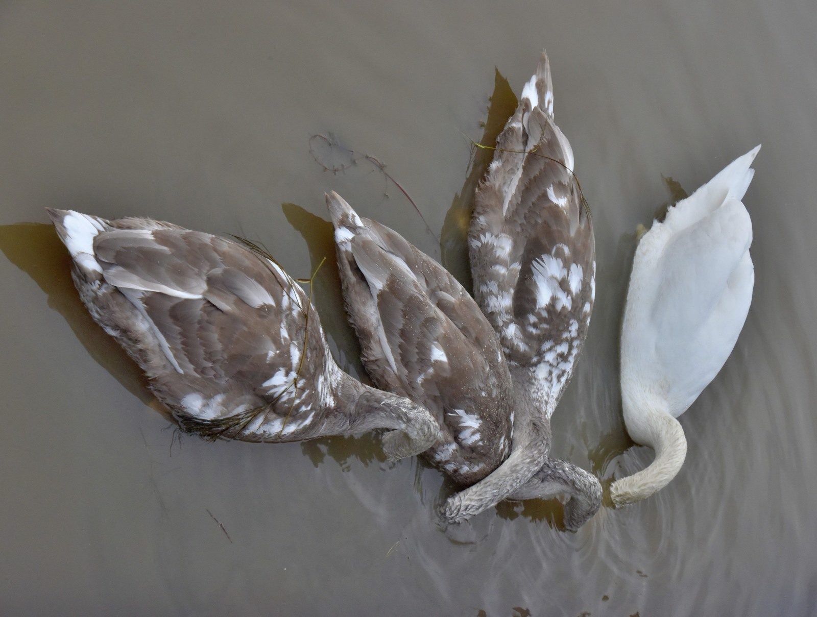 Valokuvaaja: Reijo Juurinen