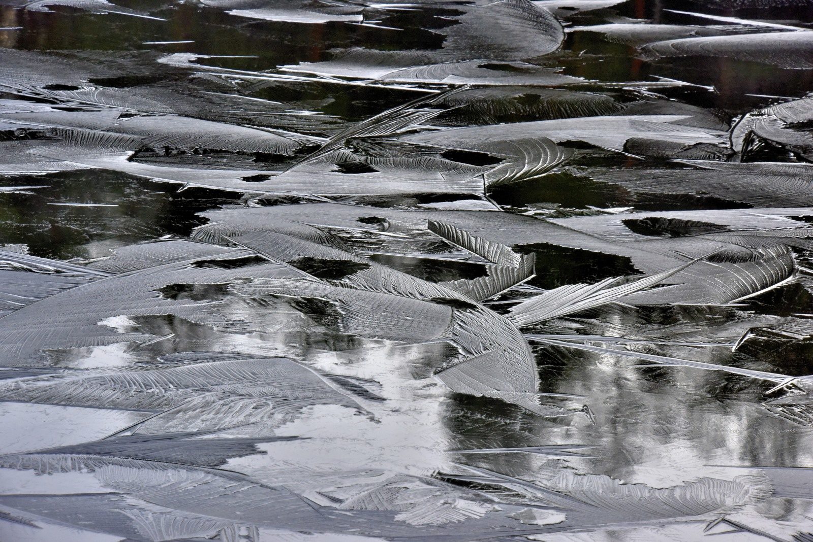 Valokuvaaja: Reijo Juurinen