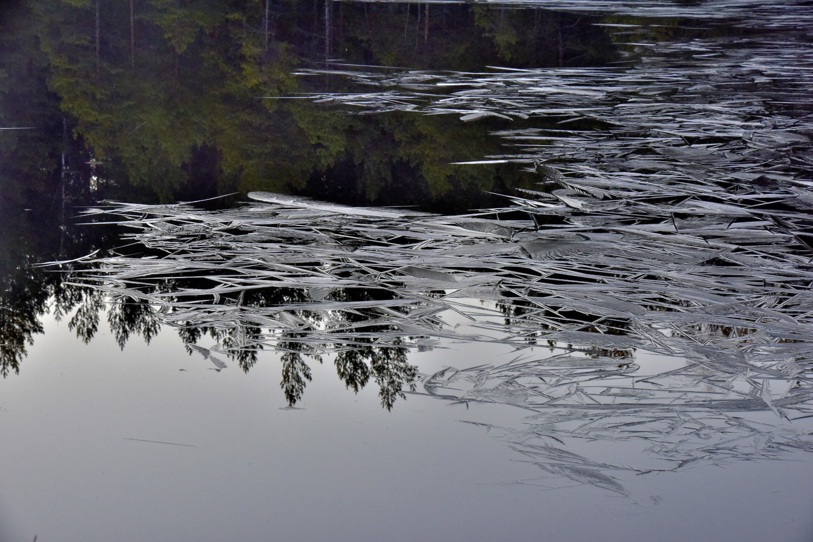 Valokuvaaja: Reijo Juurinen Valokuvaaja: Reijo Juurinen