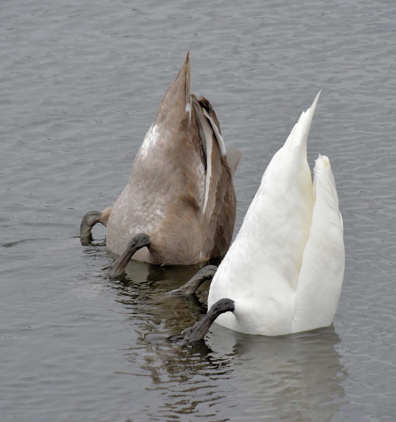 Valokuvaaja: Reijo Juurinen