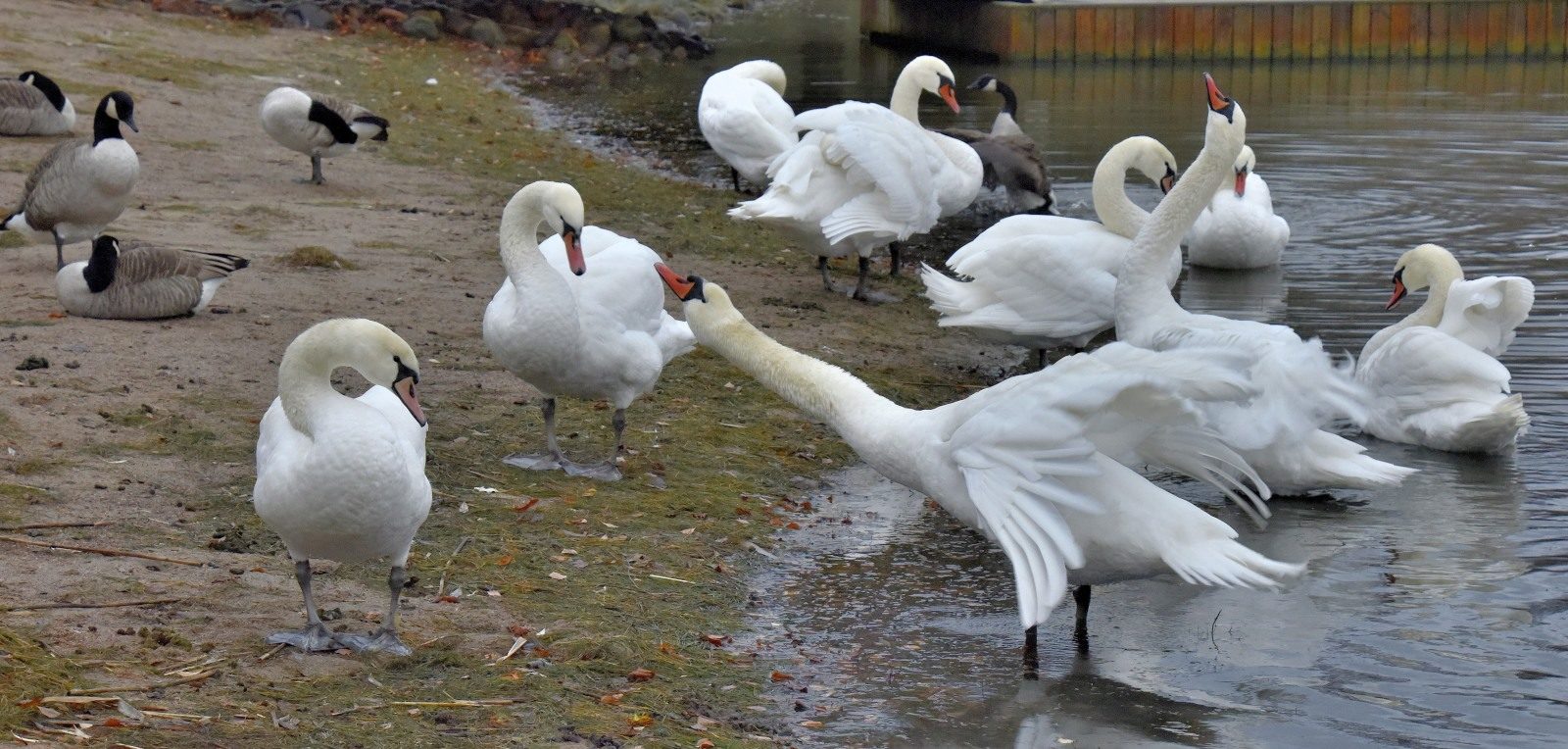 Valokuvaaja: Reijo Juurinen Valokuvaaja: Reijo Juurinen