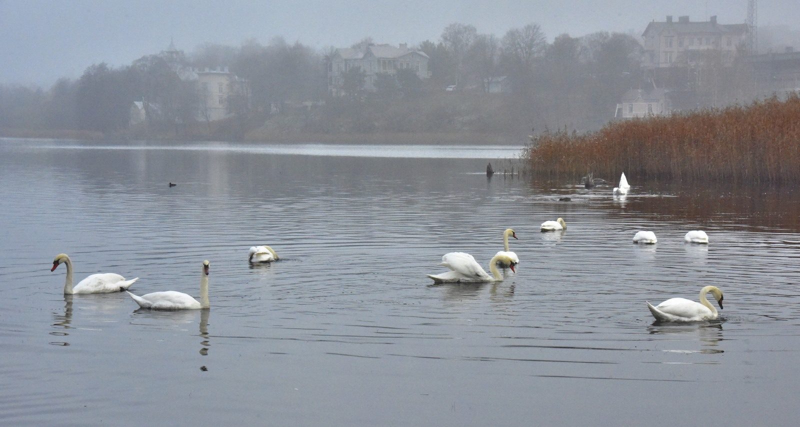 Valokuvaaja: Reijo Juurinen