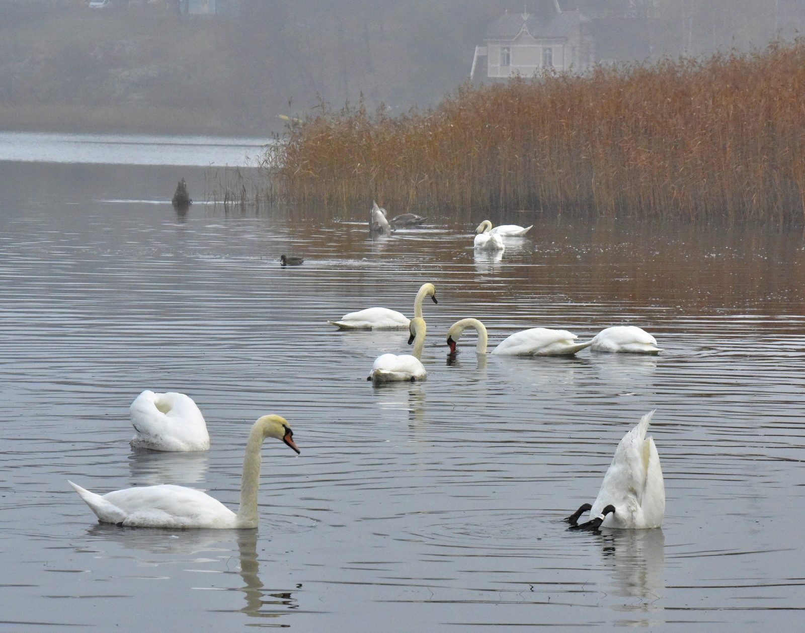 Valokuvaaja: Reijo Juurinen