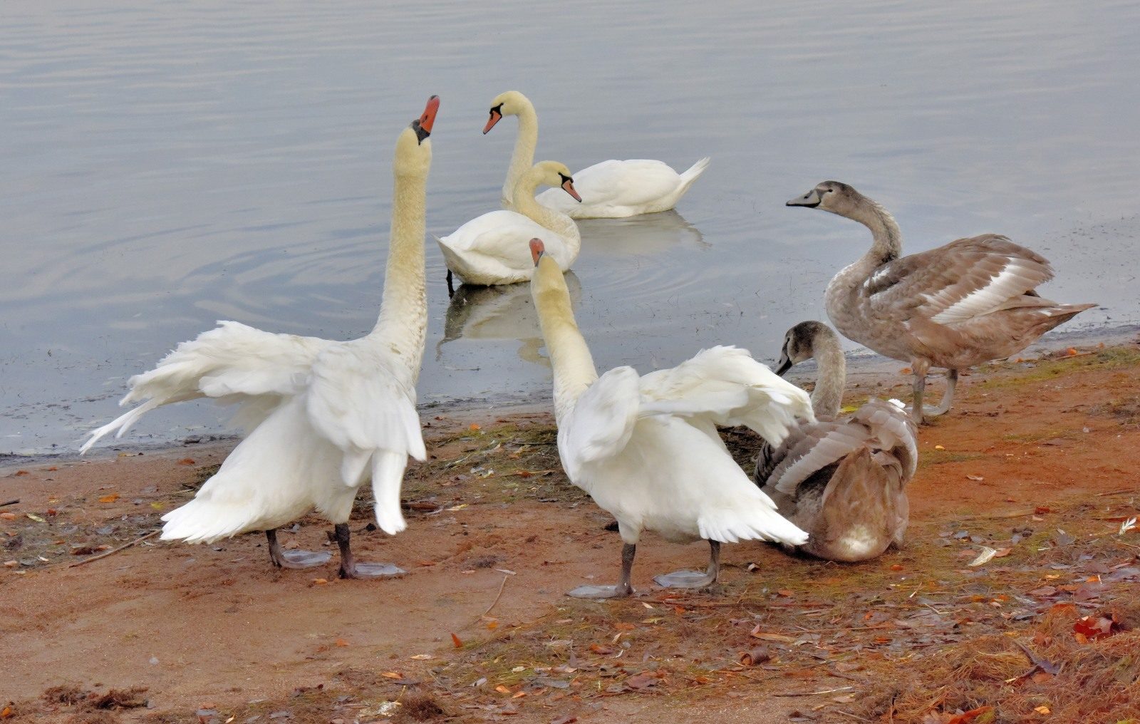 Valokuvaaja: Reijo Juurinen