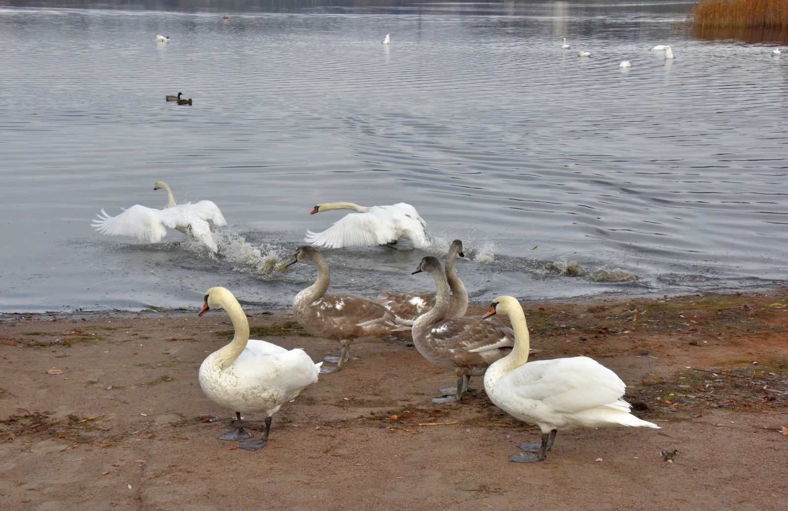 Valokuvaaja: Reijo Juurinen