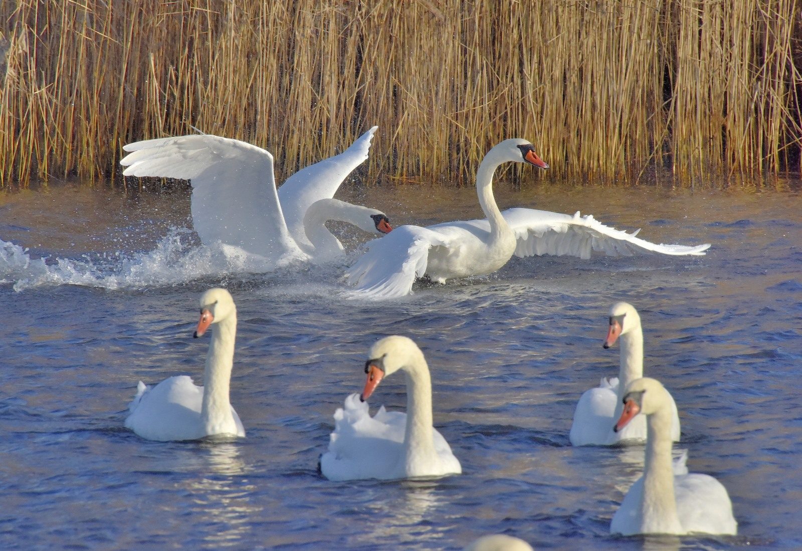 Valokuvaaja: Reijo Juurinen