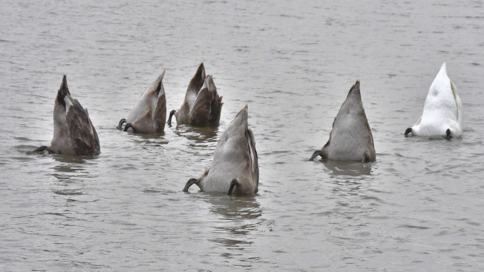 Valokuvaaja: Reijo Juurinen