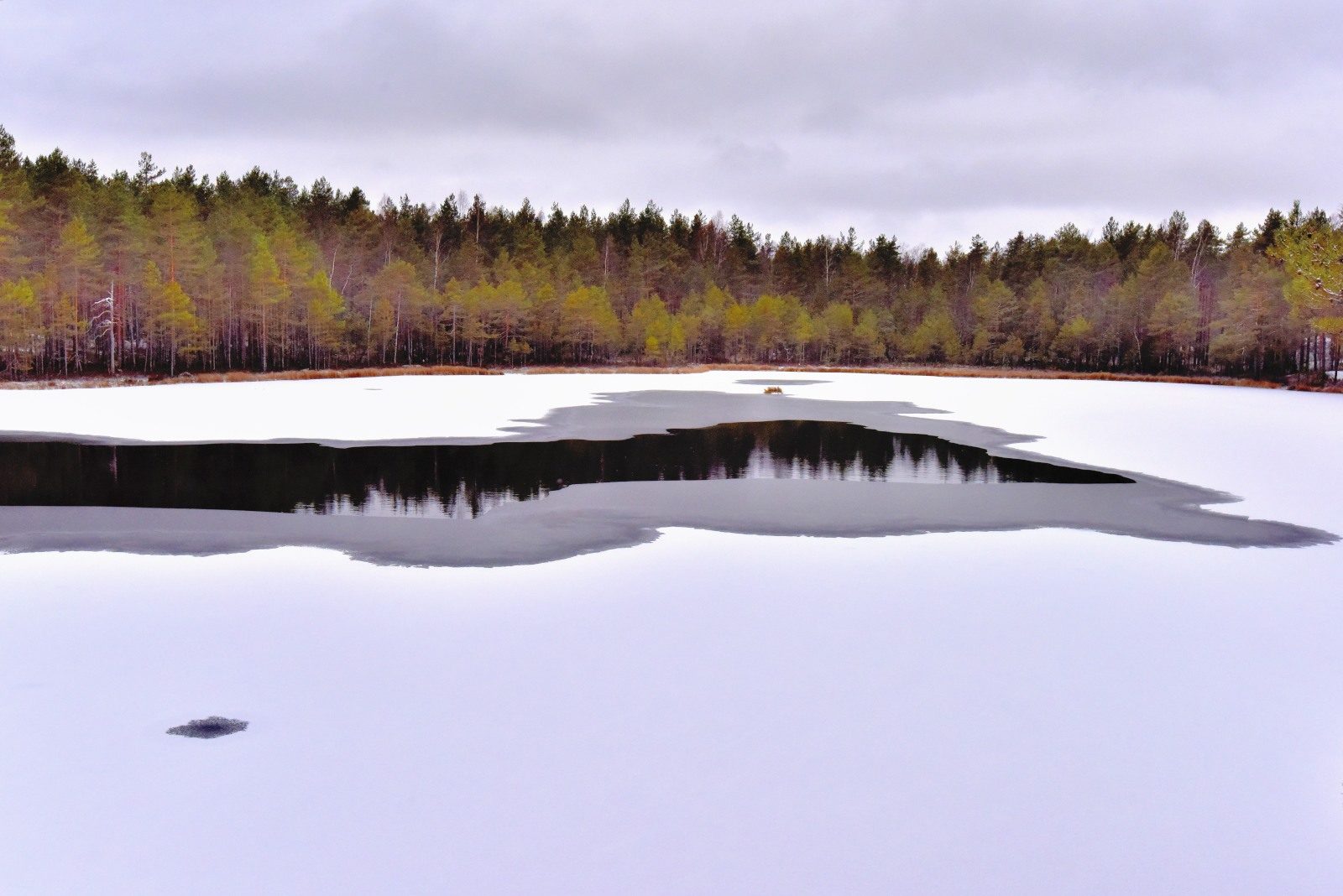 Valokuvaaja: Reijo Juurinen