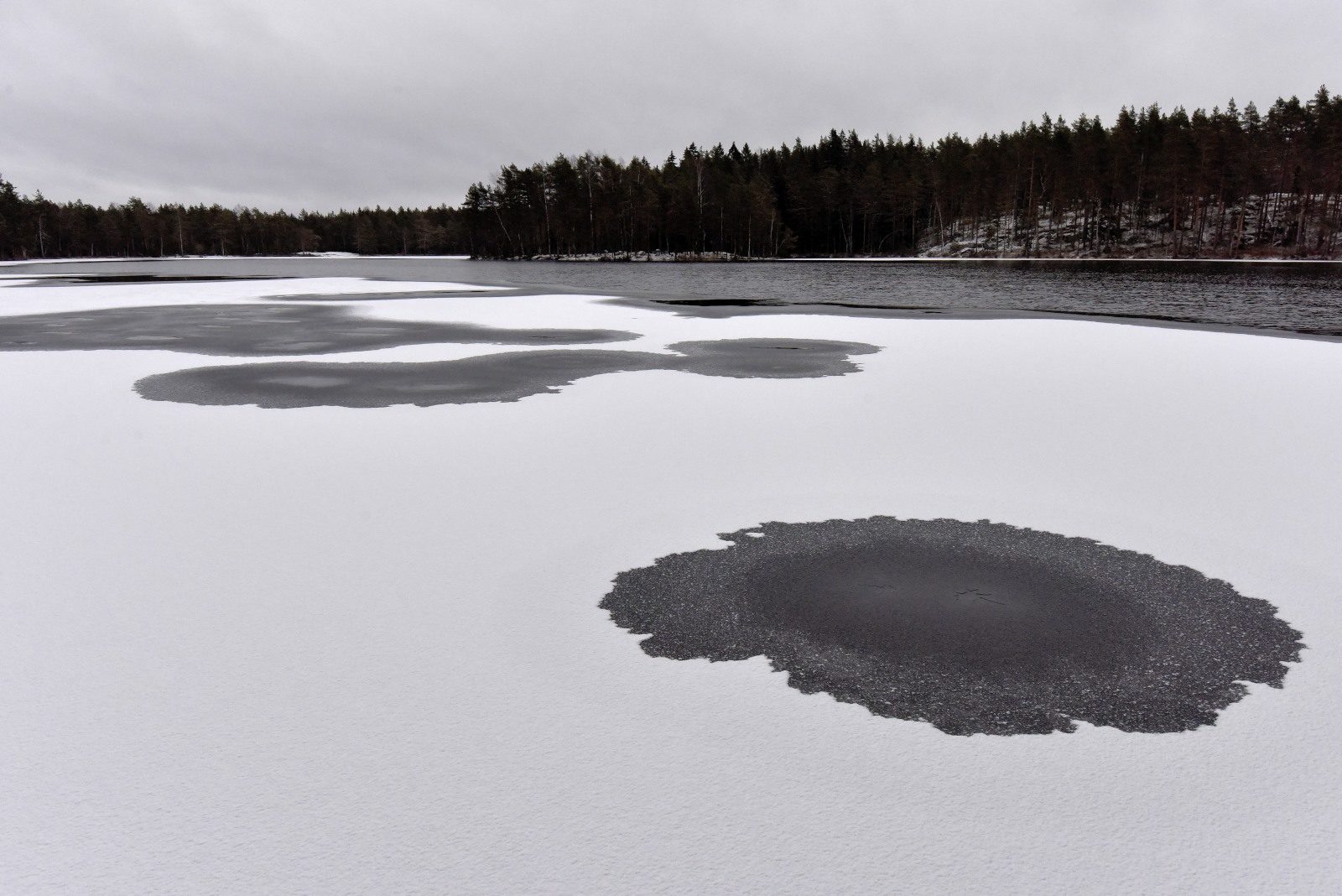 Valokuvaaja: Reijo Juurinen