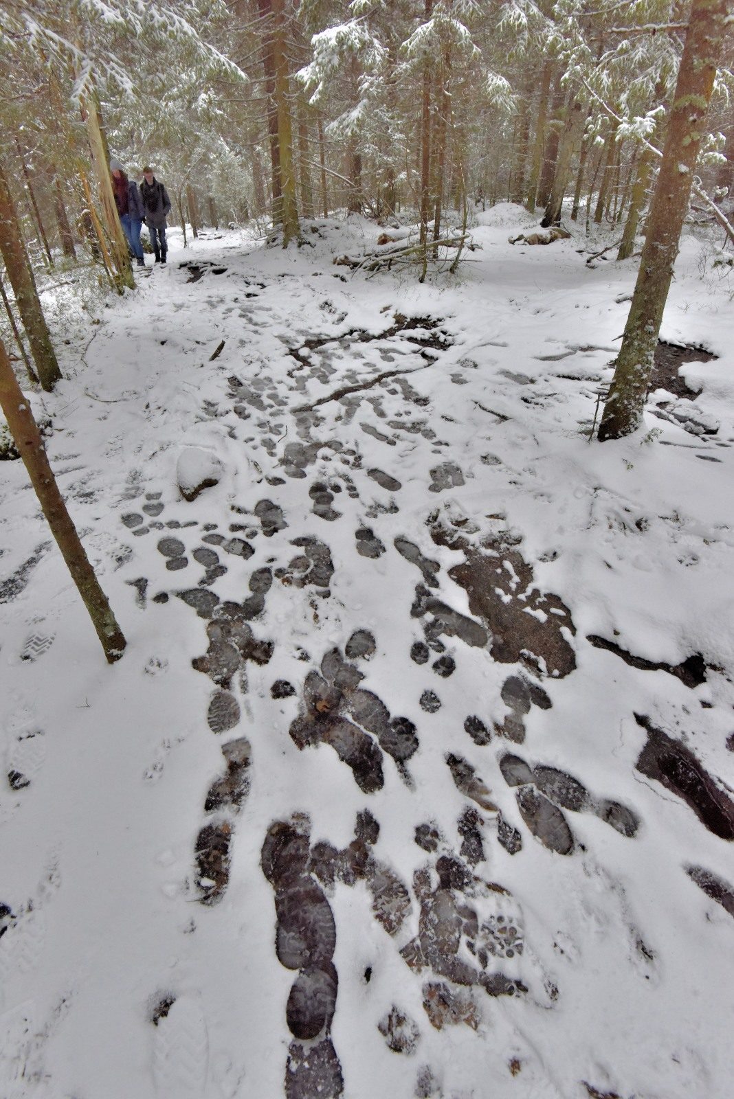 Valokuvaaja: Reijo Juurinen