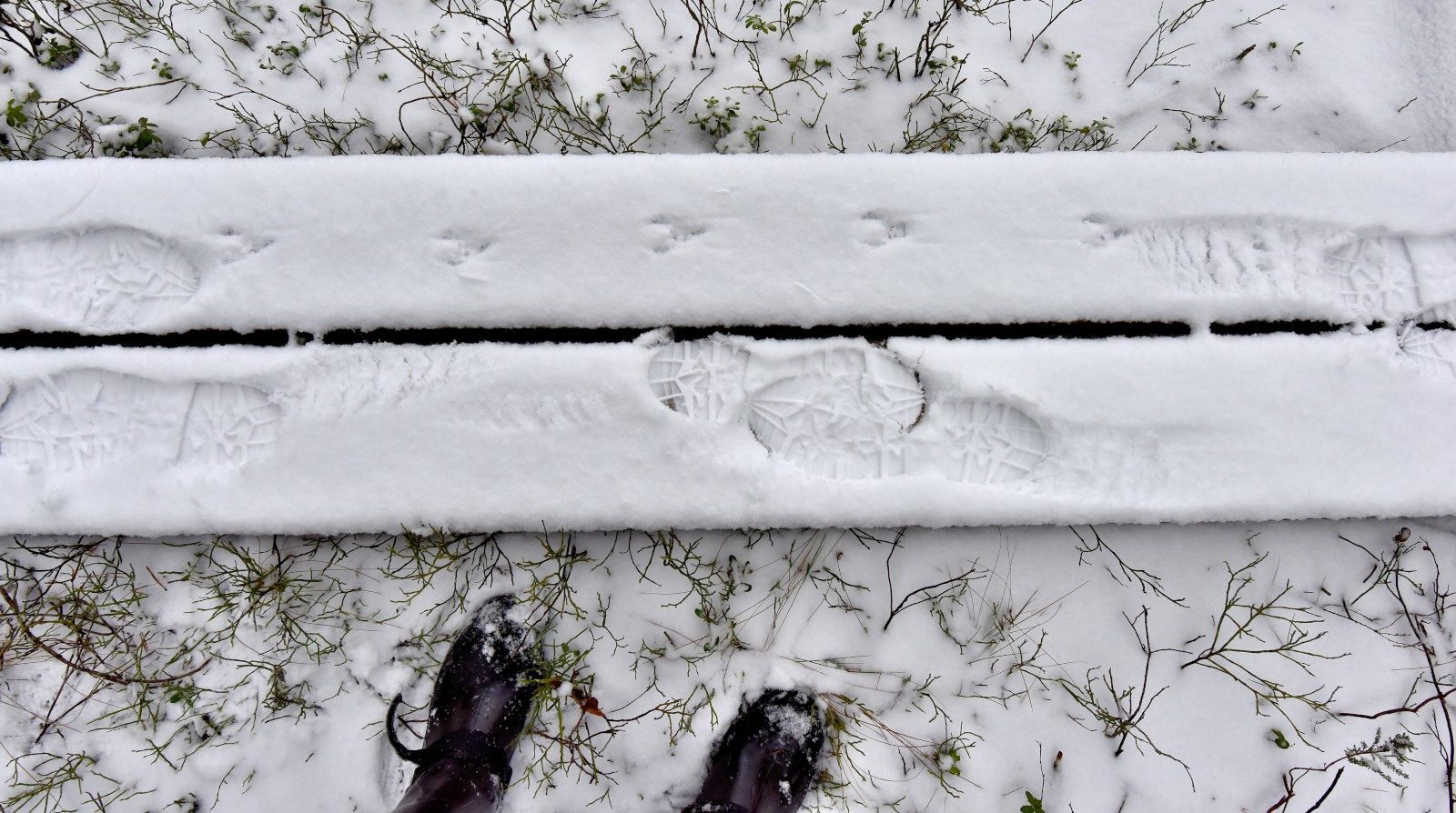 Valokuvaaja: Reijo Juurinen