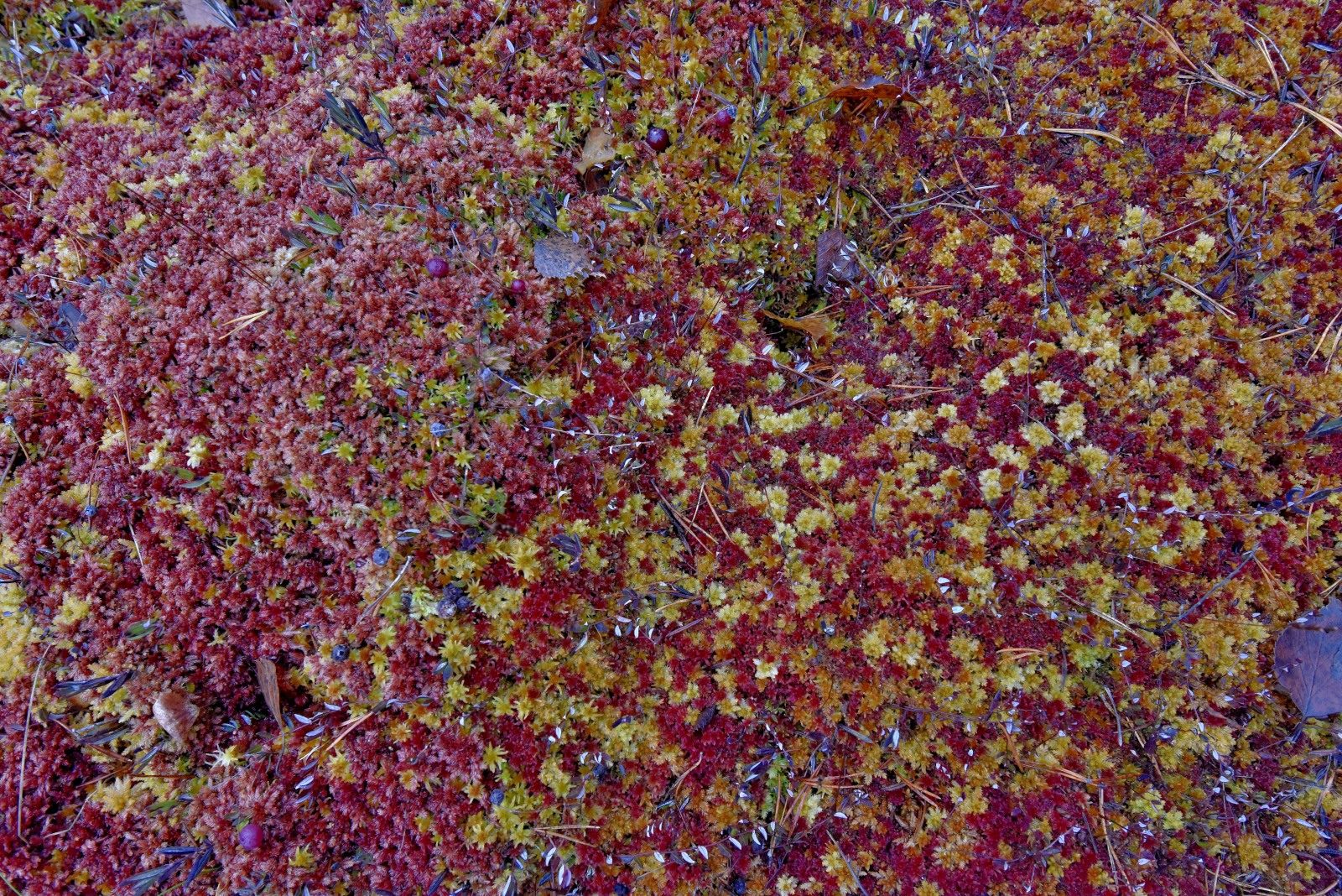 Valokuvaaja: Reijo Juurinen