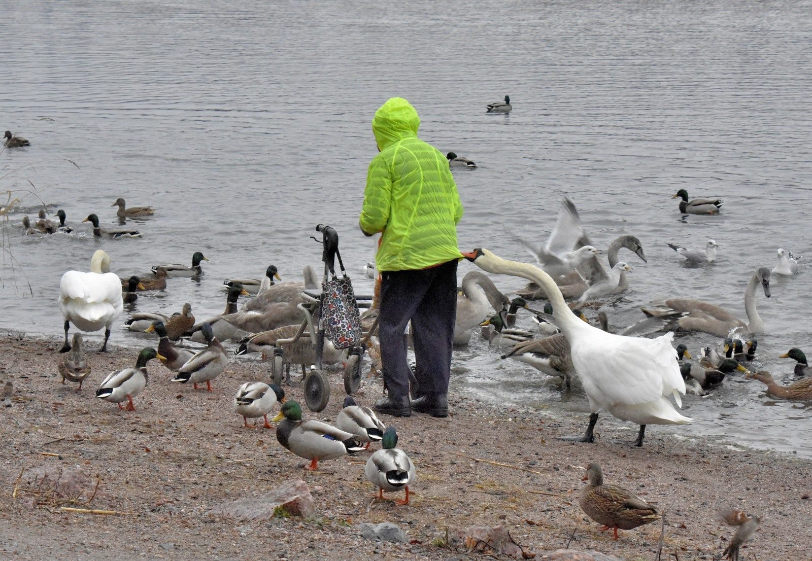 Valokuvaaja: Reijo Juurinen