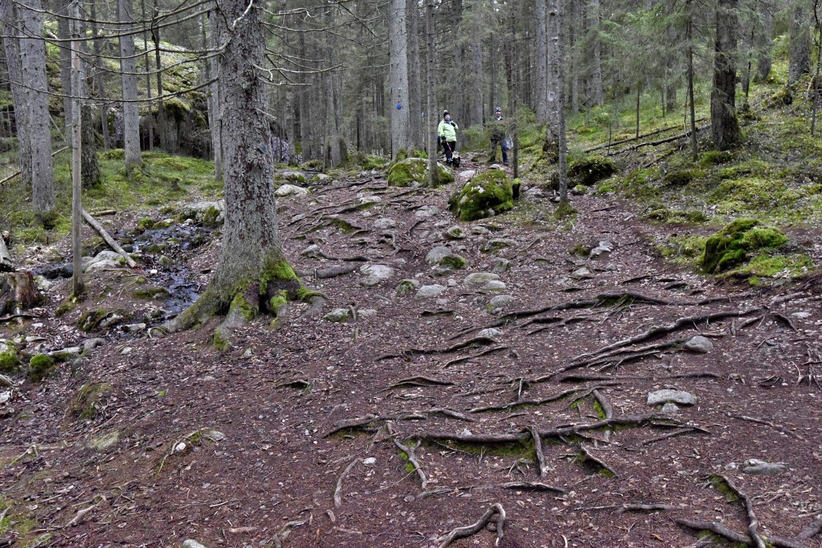 Valokuvaaja: Reijo Juurinen