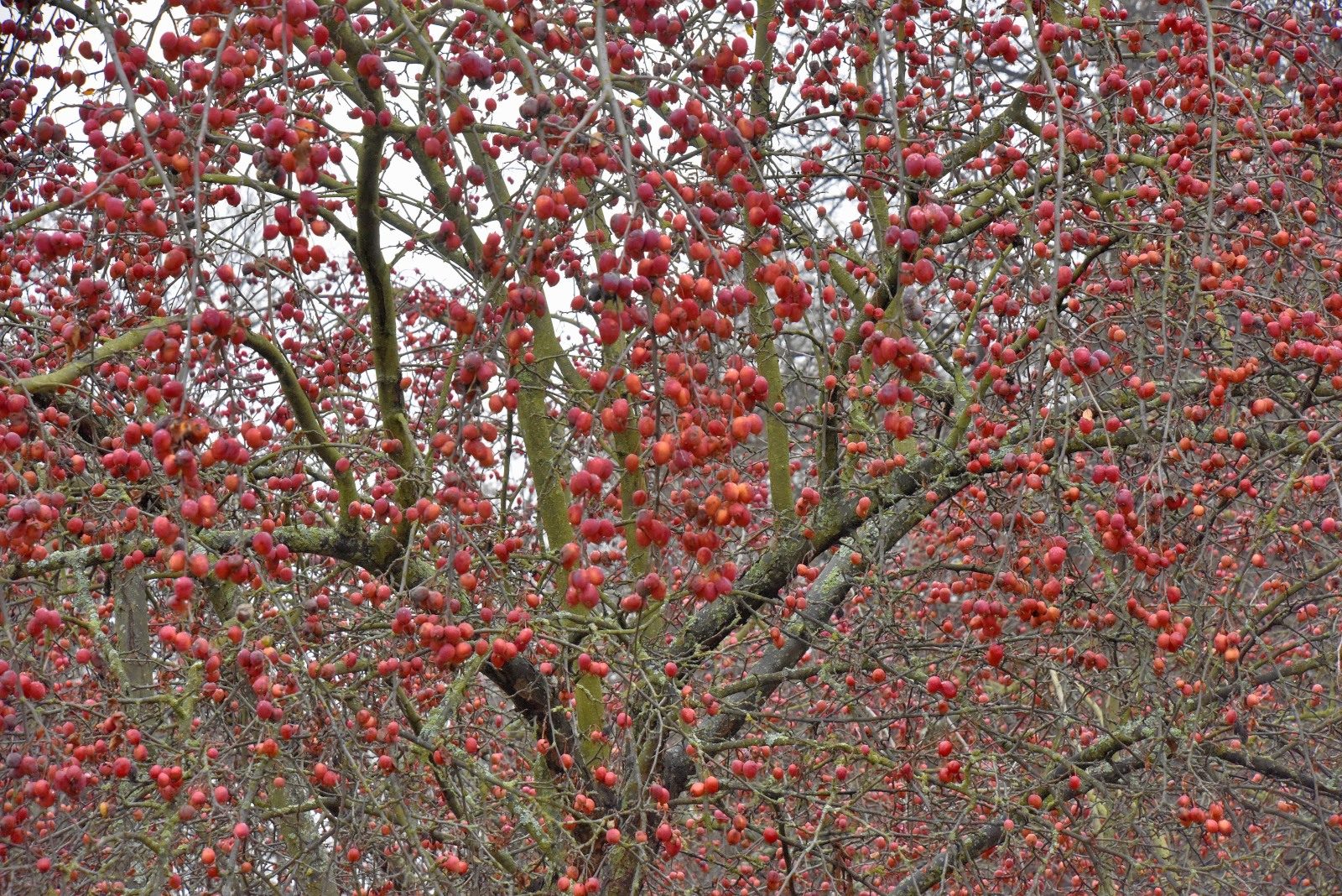 Valokuvaaja: Reijo Juurinen