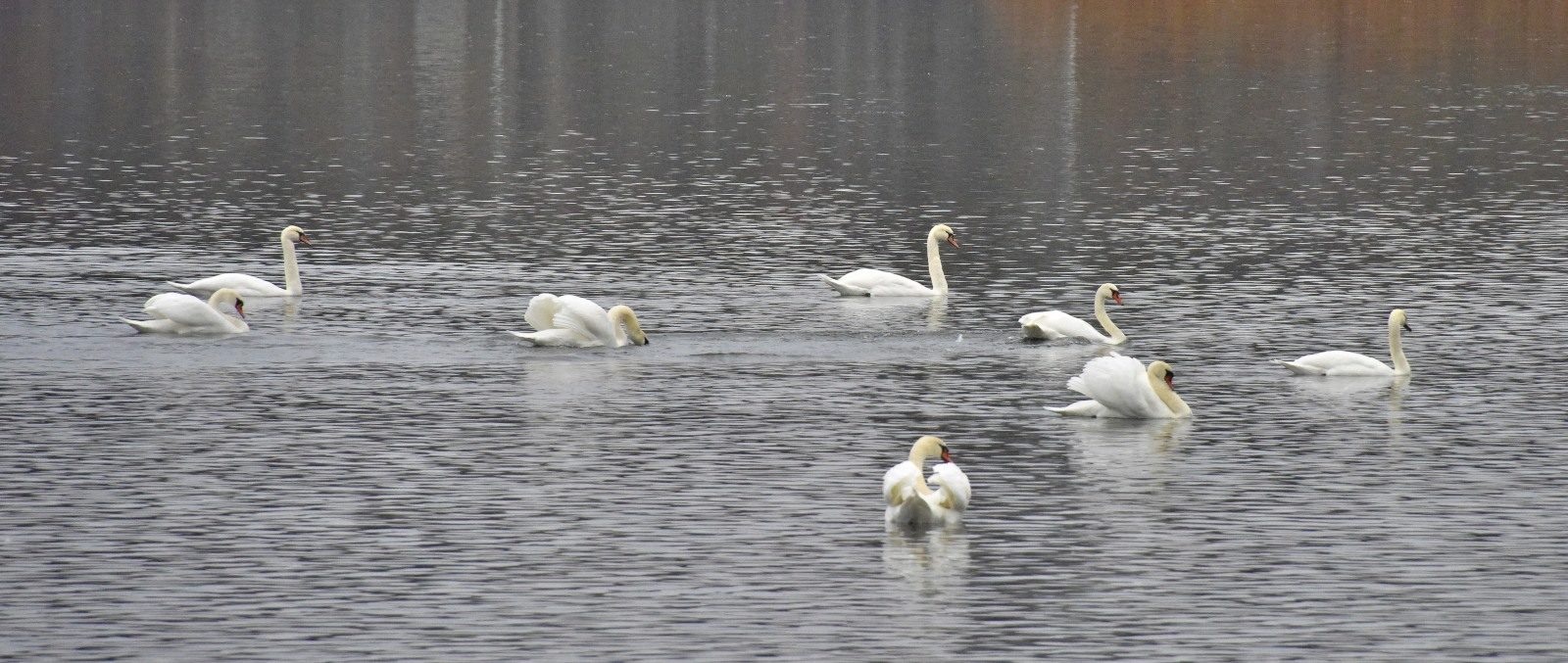 Valokuvaaja: Reijo Juurinen Valokuvaaja: Reijo Juurinen