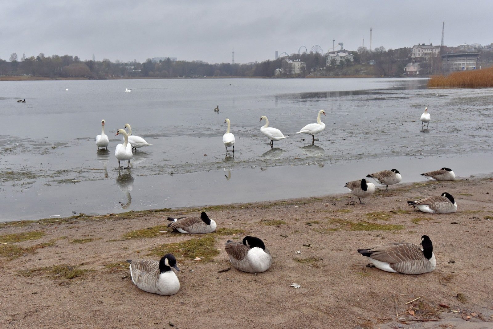 Valokuvaaja: Reijo Juurinen