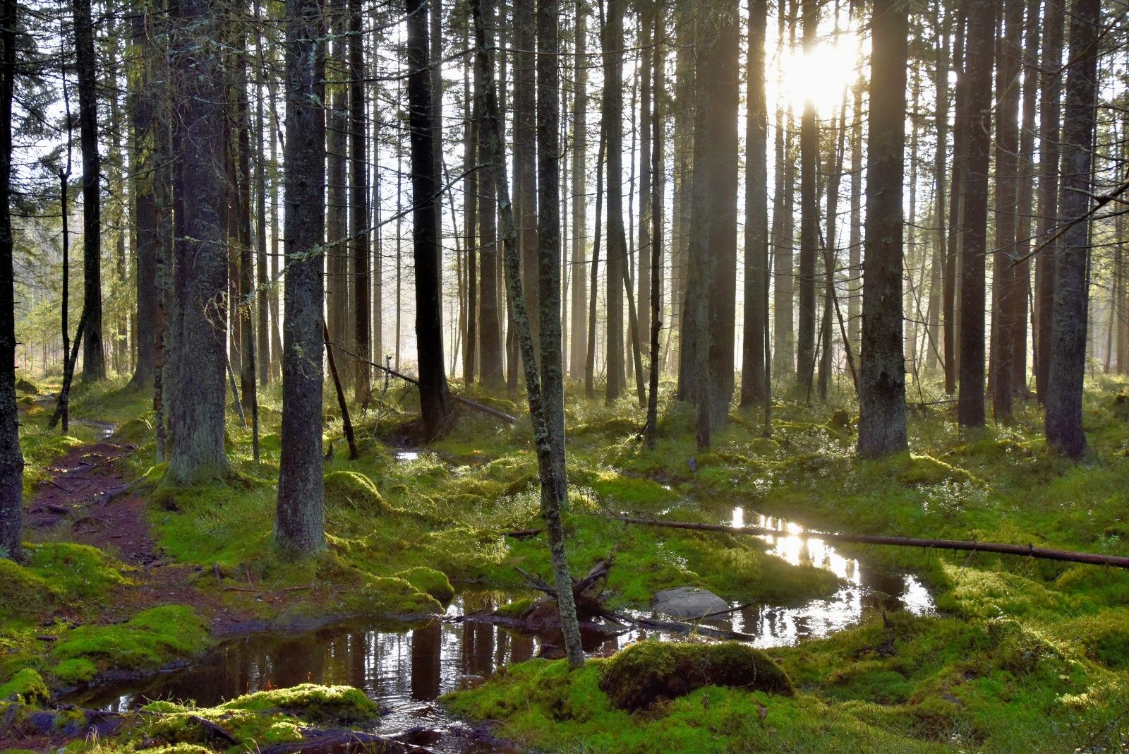 Valokuvaaja: Reijo Juurinen Valokuvaaja: Reijo Juurinen
