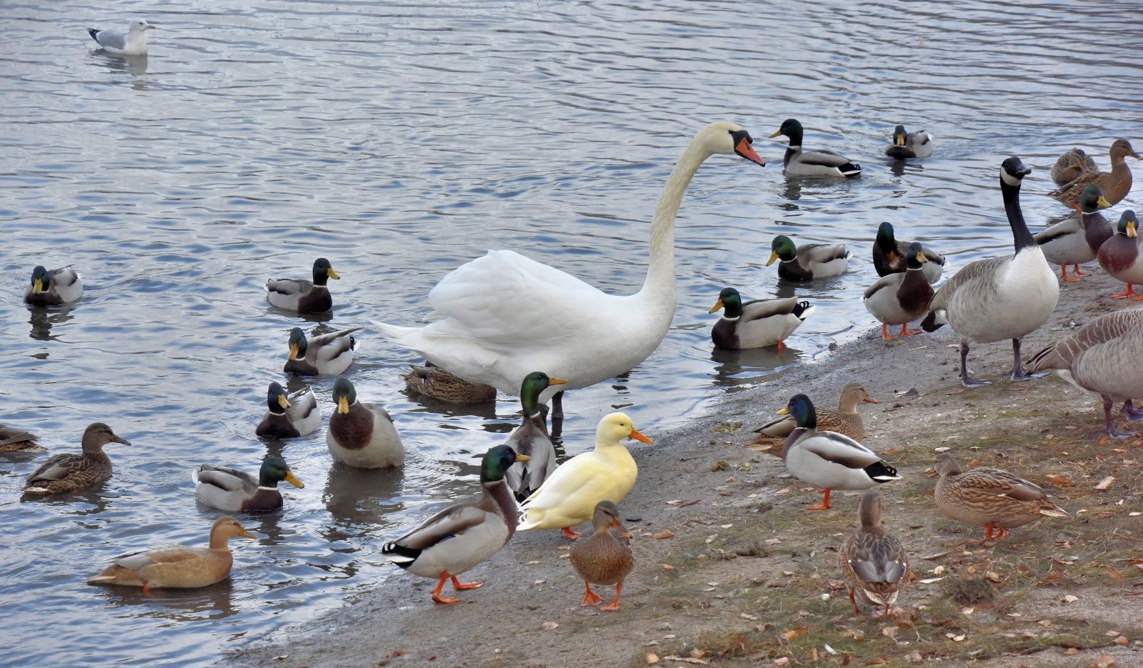 Valokuvaaja: Reijo Juurinen