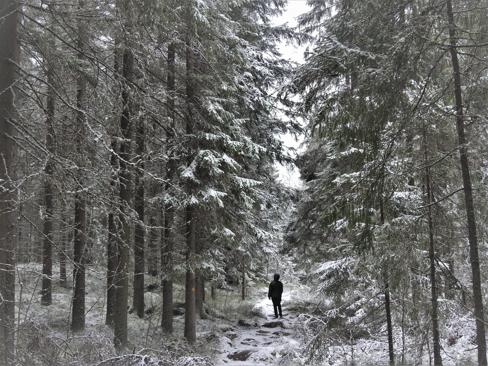 Valokuvaaja: Maarit Siitonen