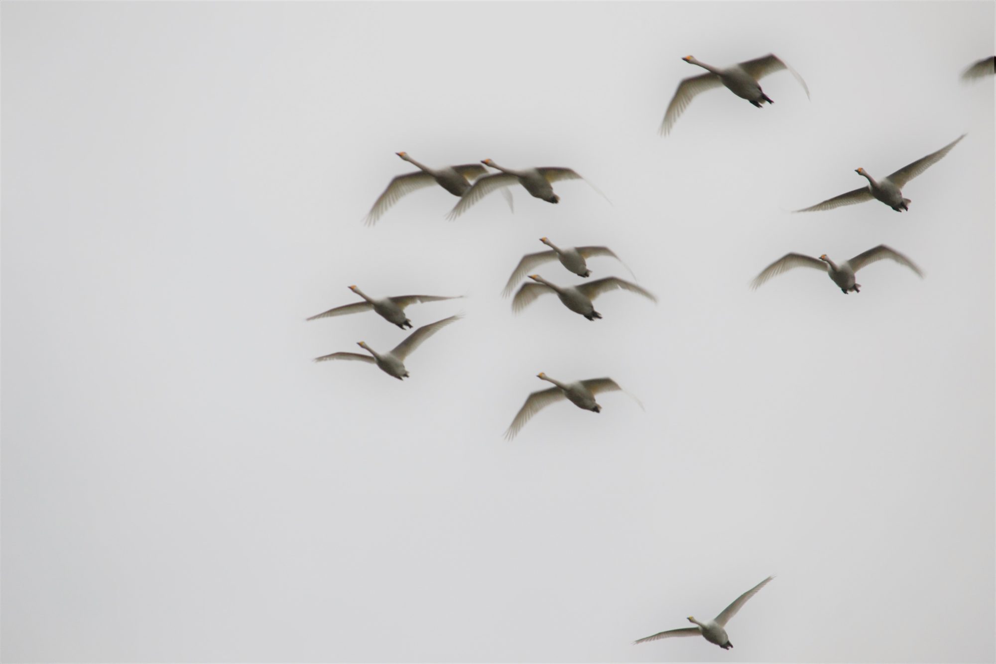 Valokuvaaja: satu välimaa