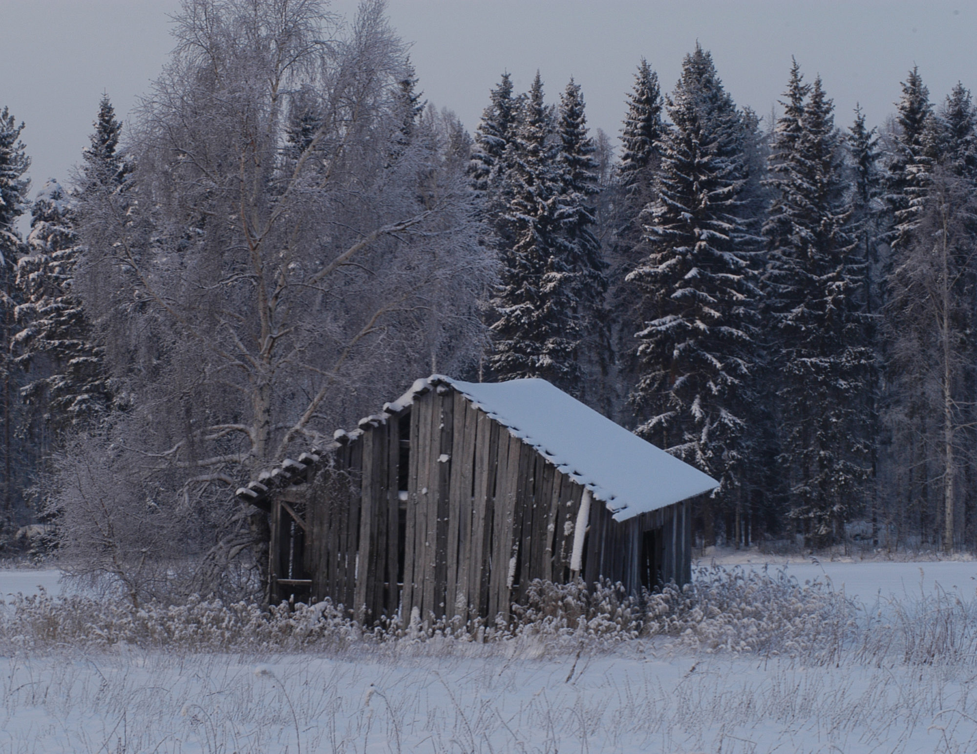 Valokuvaaja: Jouko Varonen