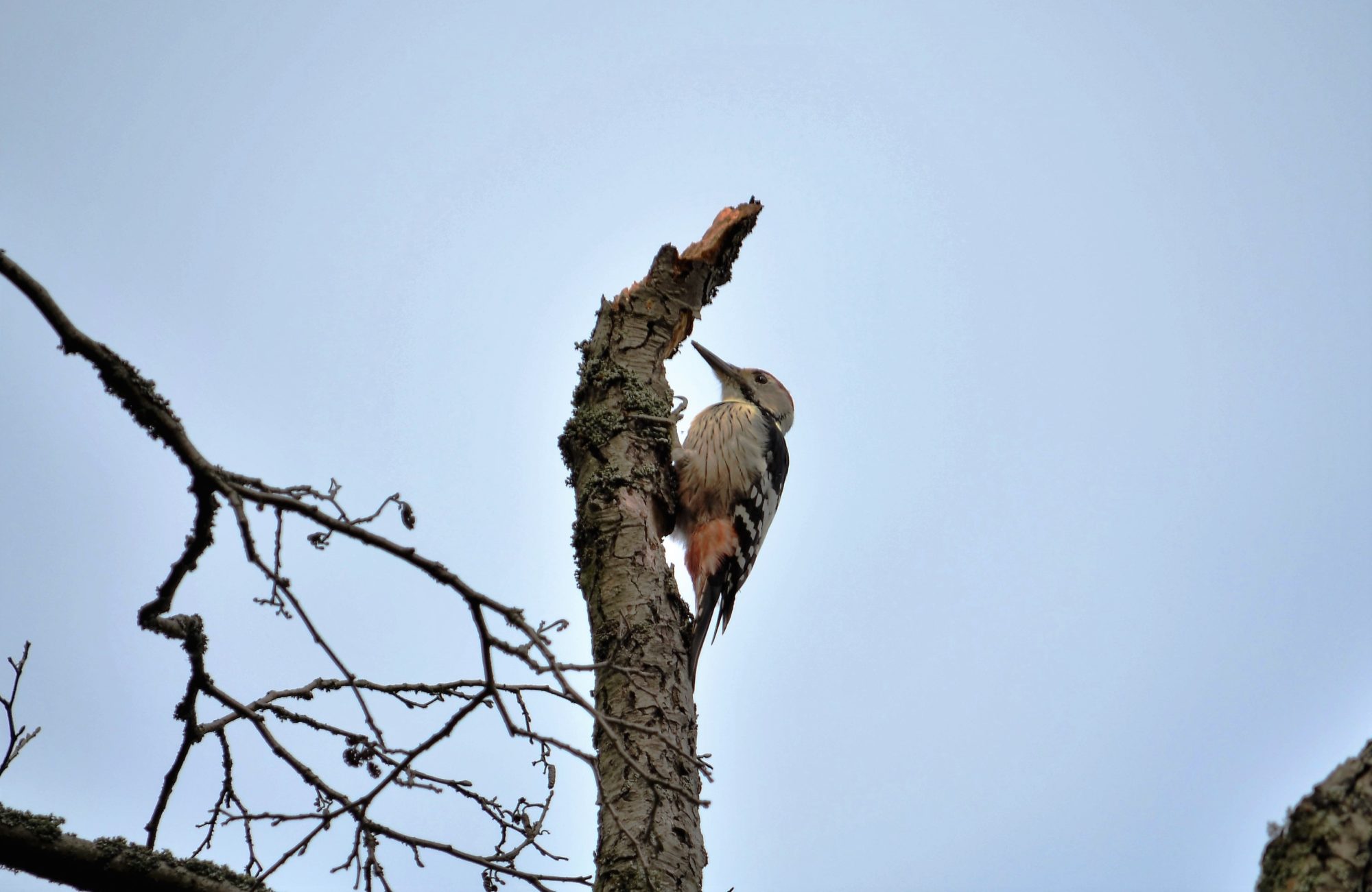 Valokuvaaja: satu välimaa