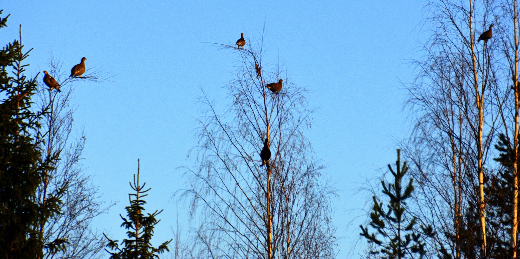 Valokuvaaja: Erkki Timonen