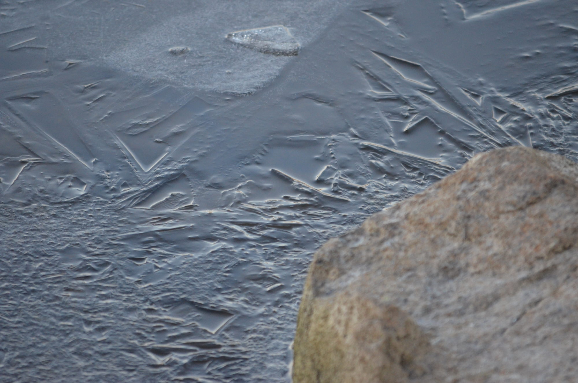 Valokuvaaja: Jouko Varonen