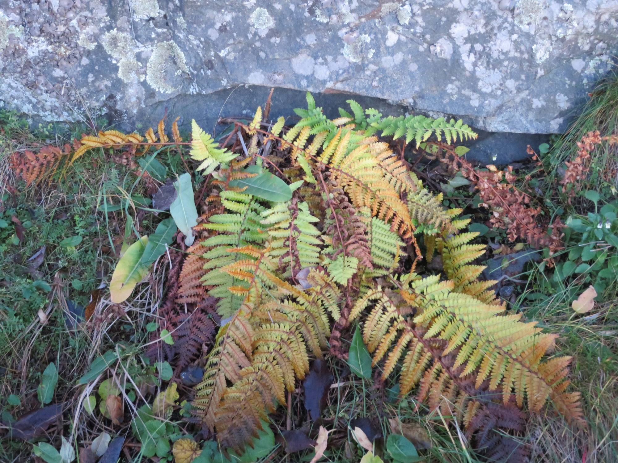 Valokuvaaja: Risto Kangassalo