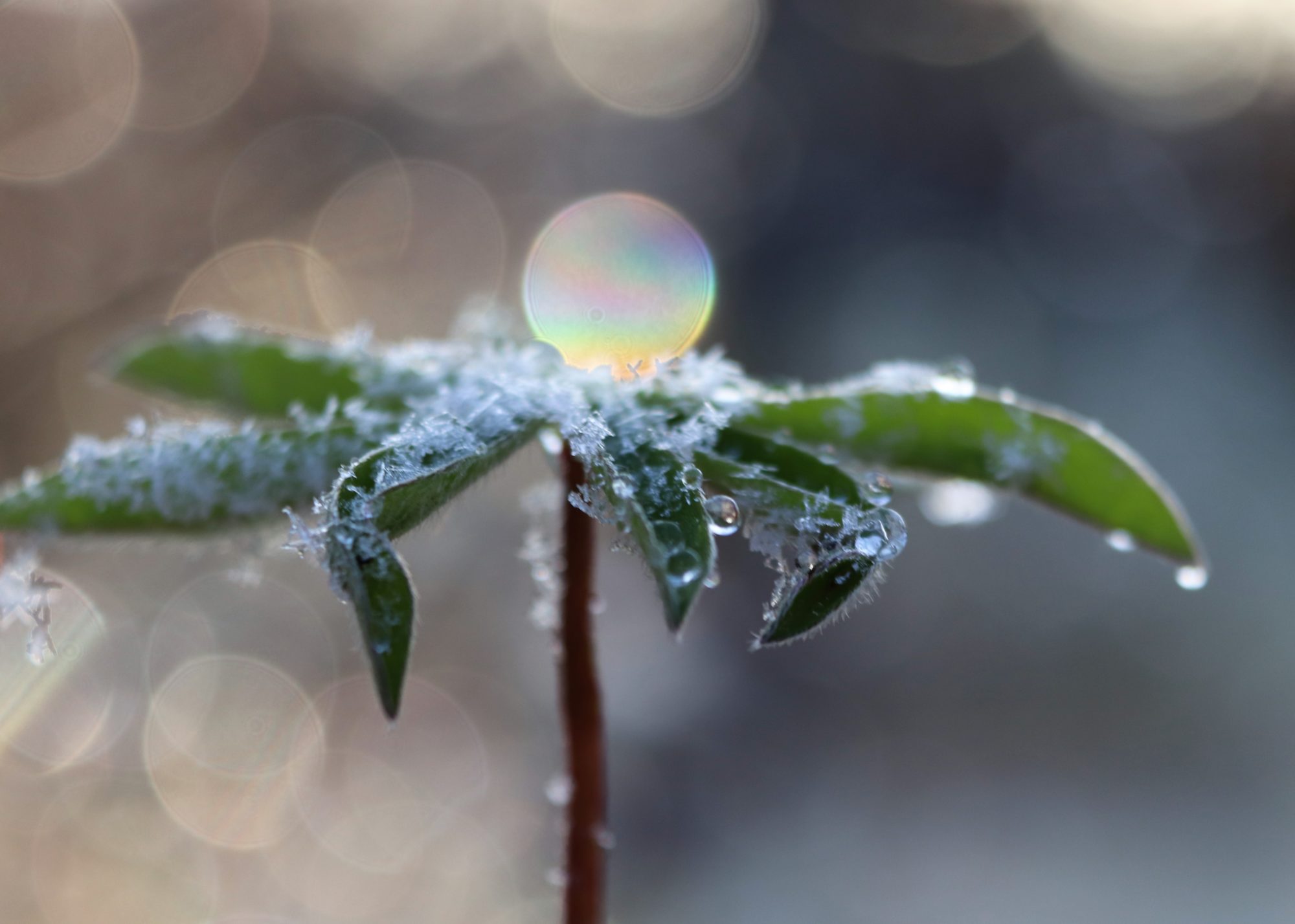 Valokuvaaja: Irja Lehtinen