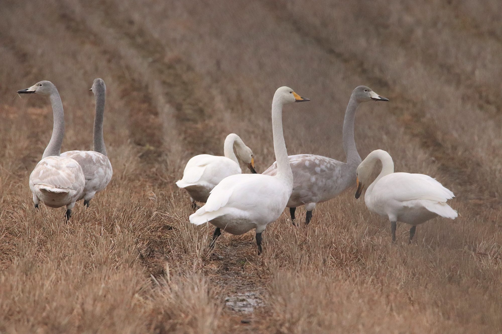 Valokuvaaja: Irja Lehtinen