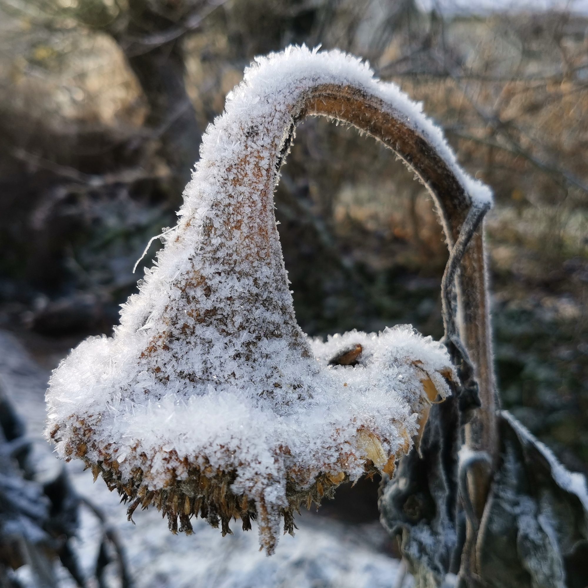 Valokuvaaja: Tapio Keinonen