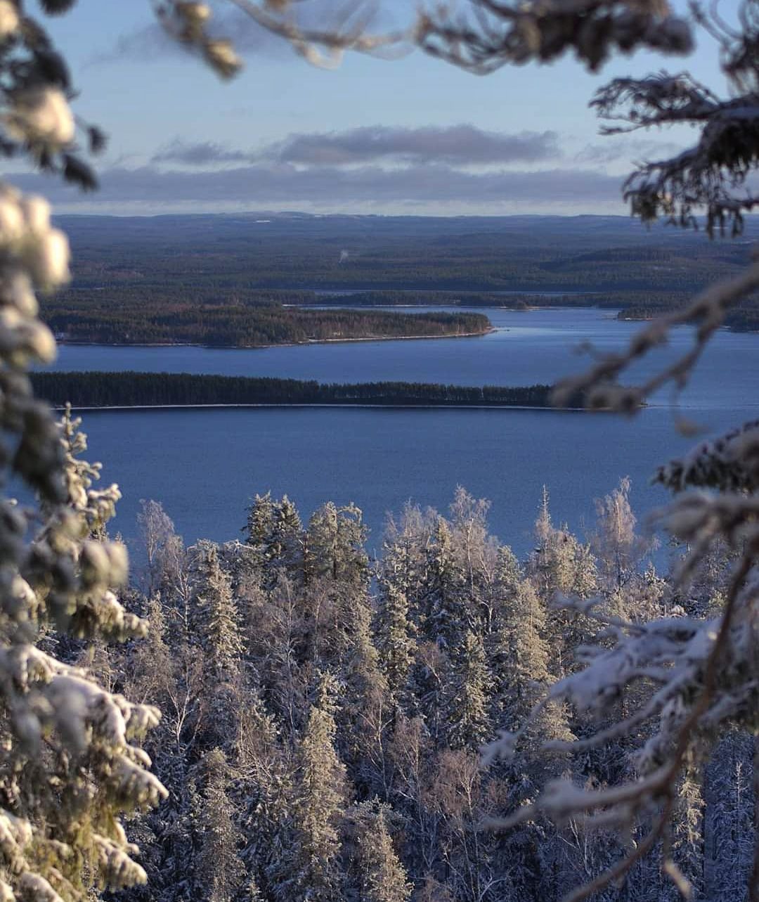 Valokuvaaja: Tapio Keinonen