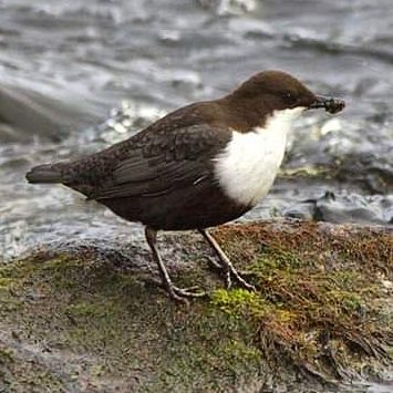 Valokuvaaja: Tapio Keinonen