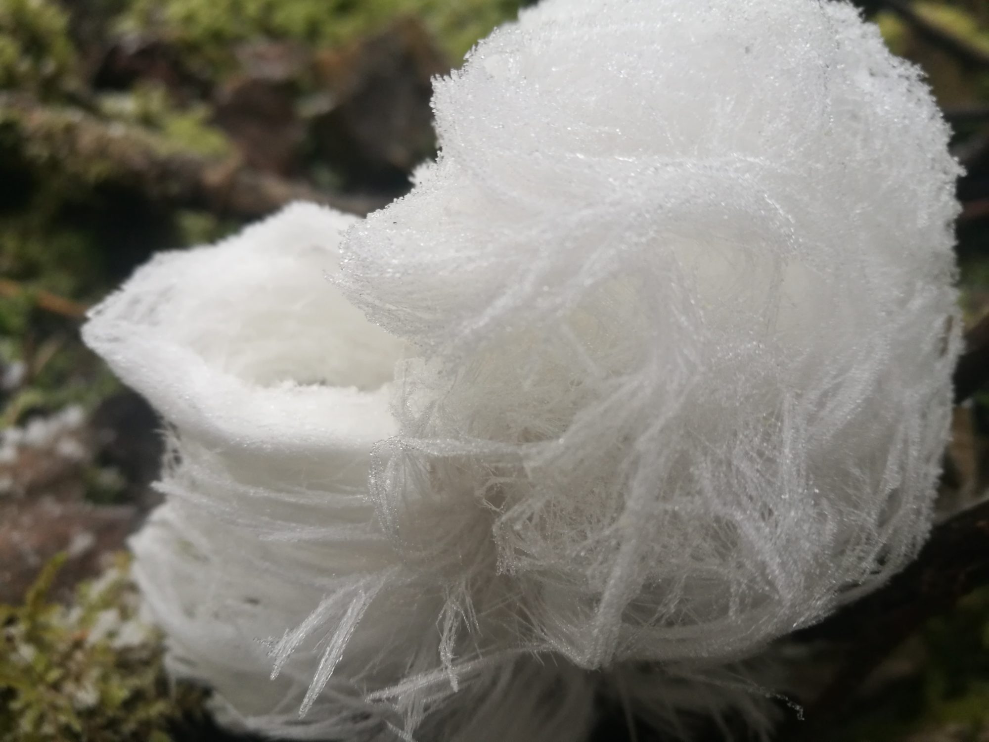 Valokuvaaja: Paula Moisander