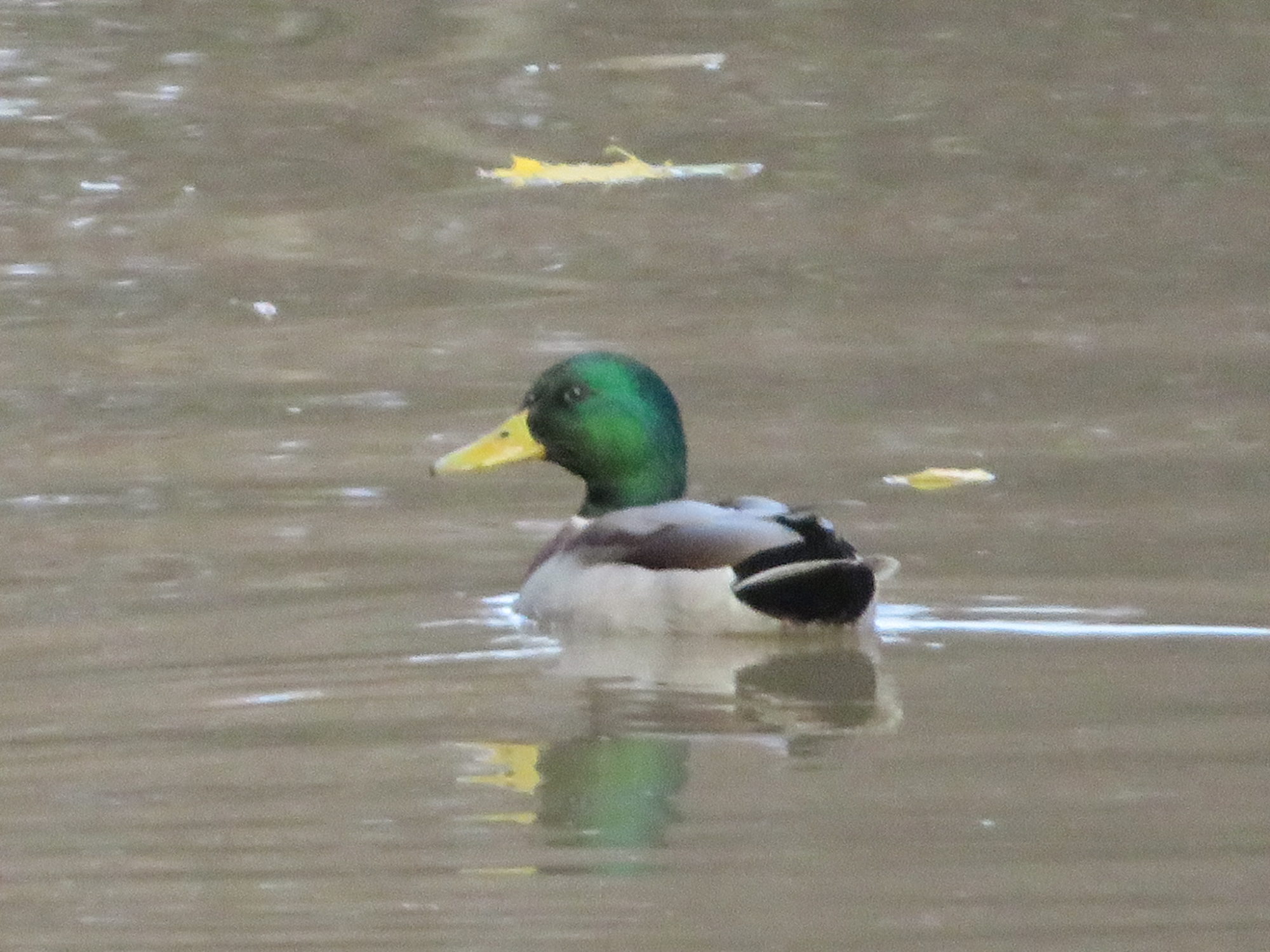 Valokuvaaja: Risto Kangassalo