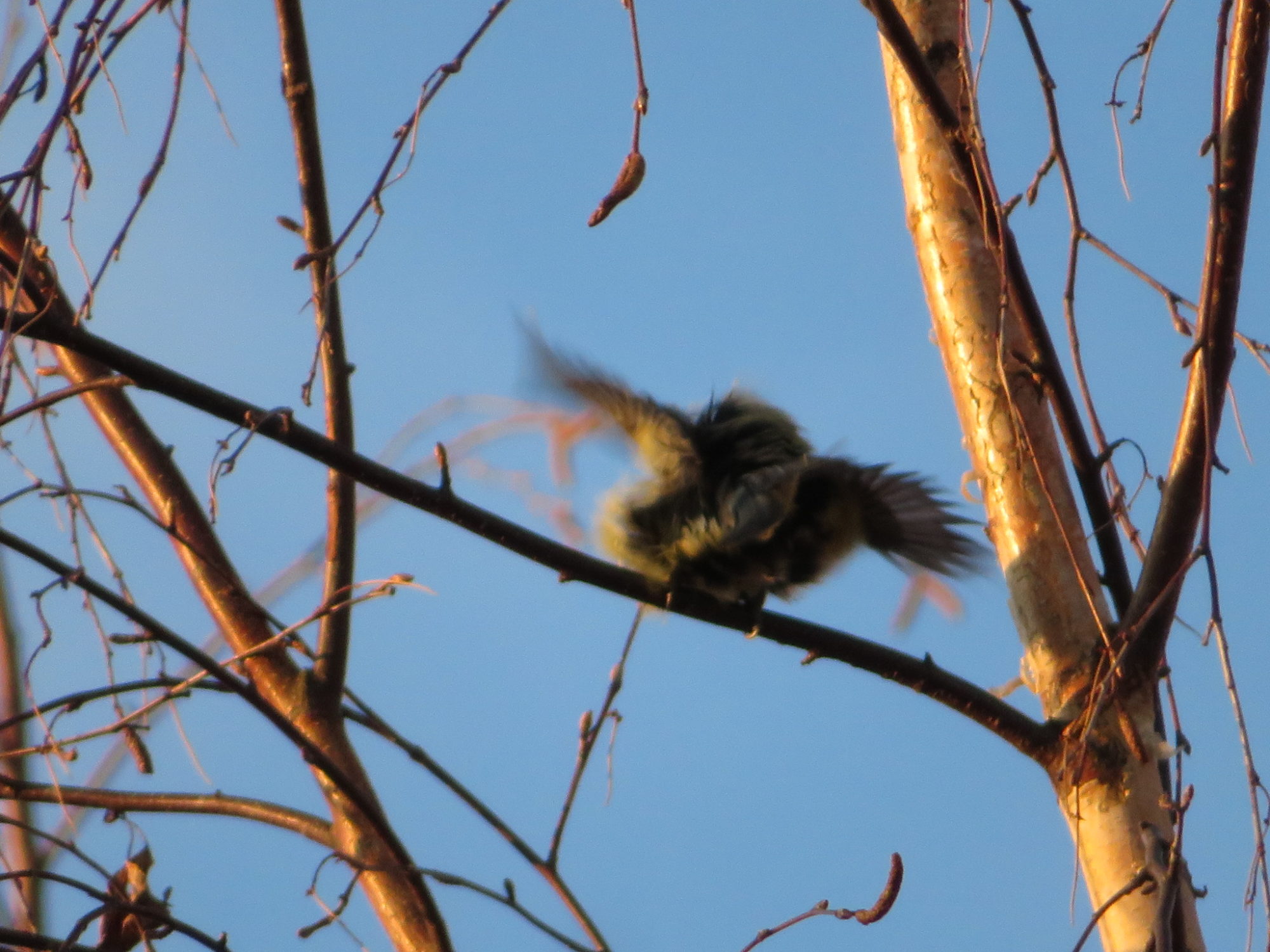 Valokuvaaja: Risto Kangassalo