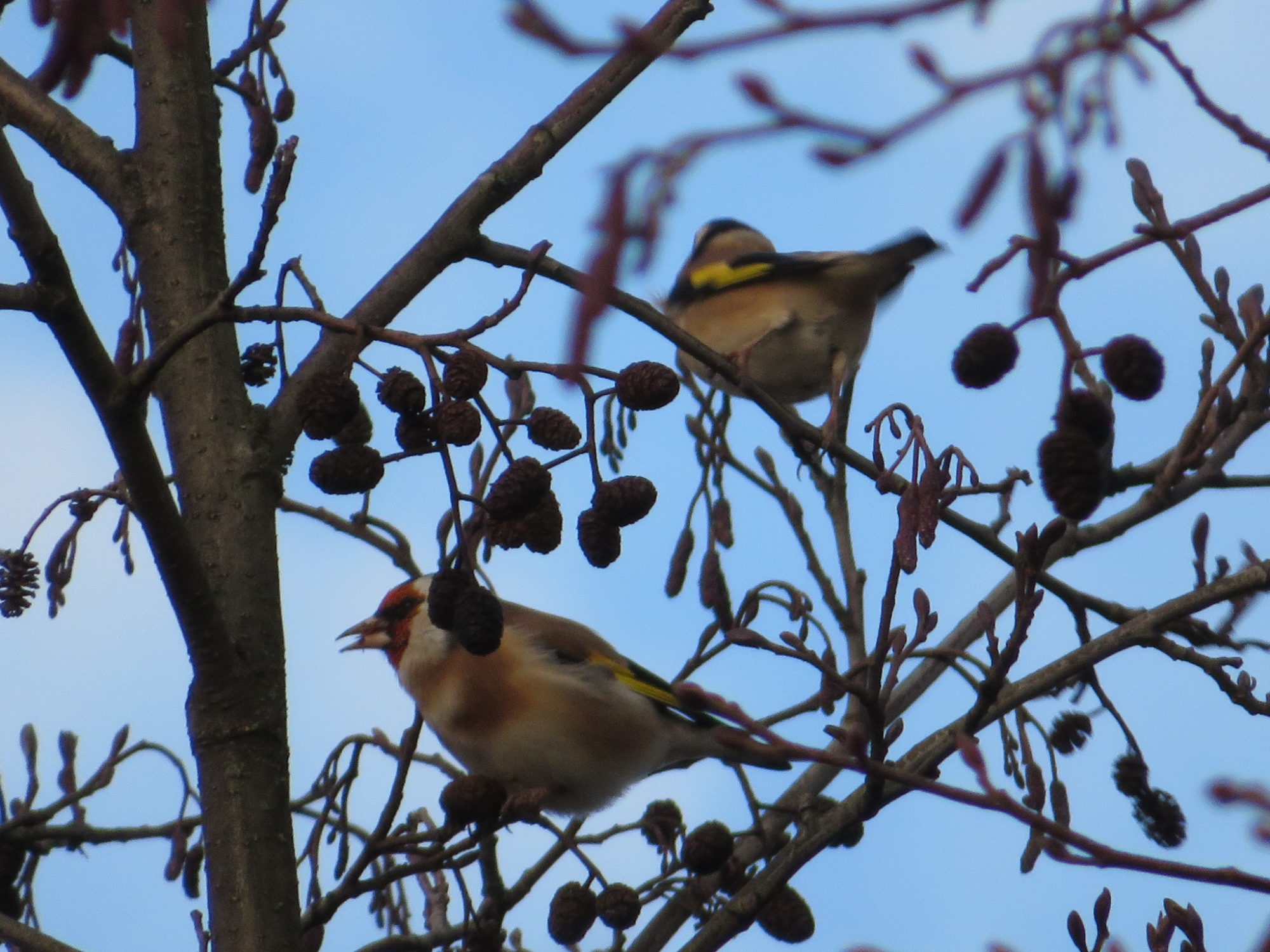 Valokuvaaja: Risto Kangassalo