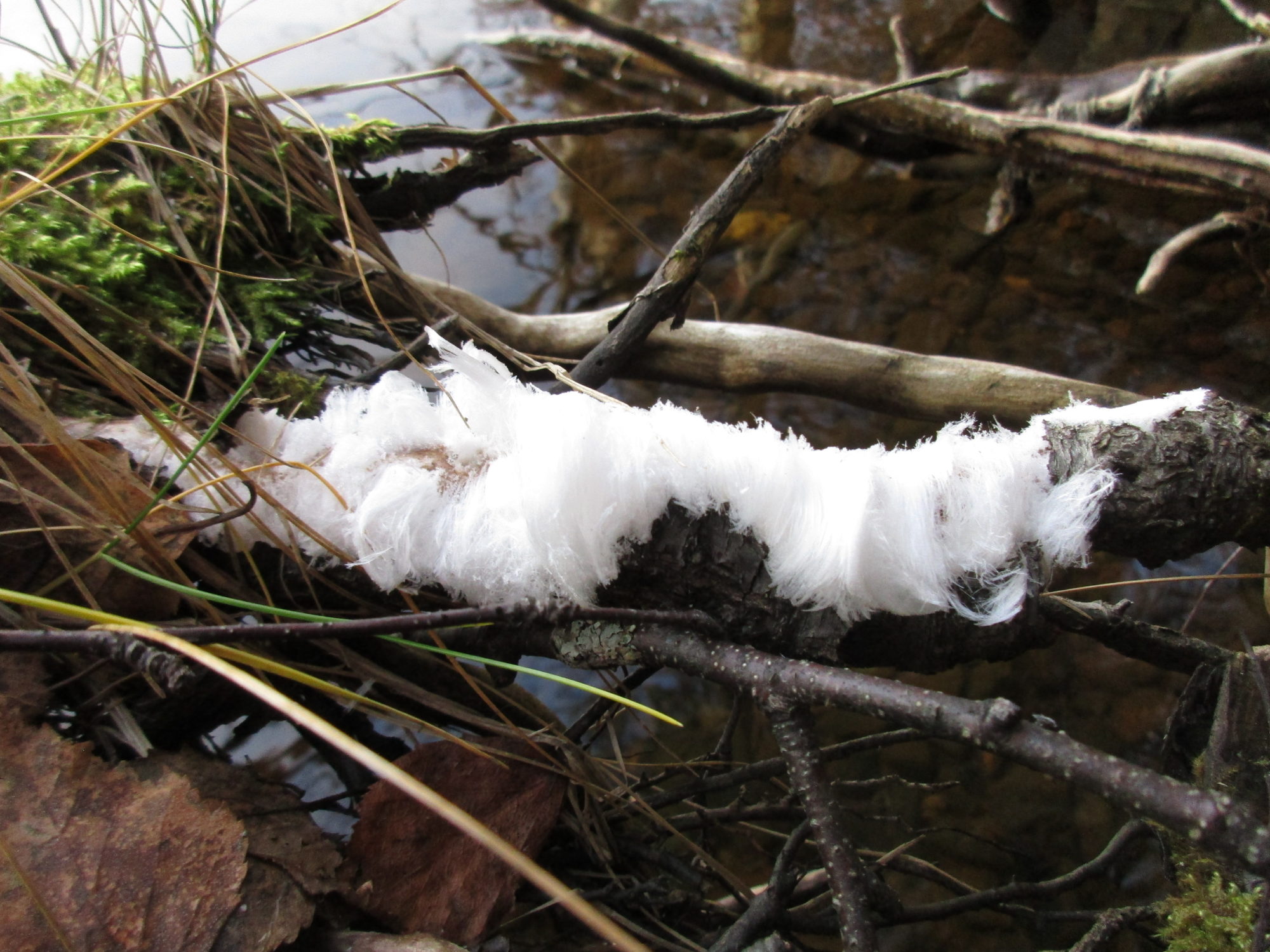 Valokuvaaja: Tiina Rautava