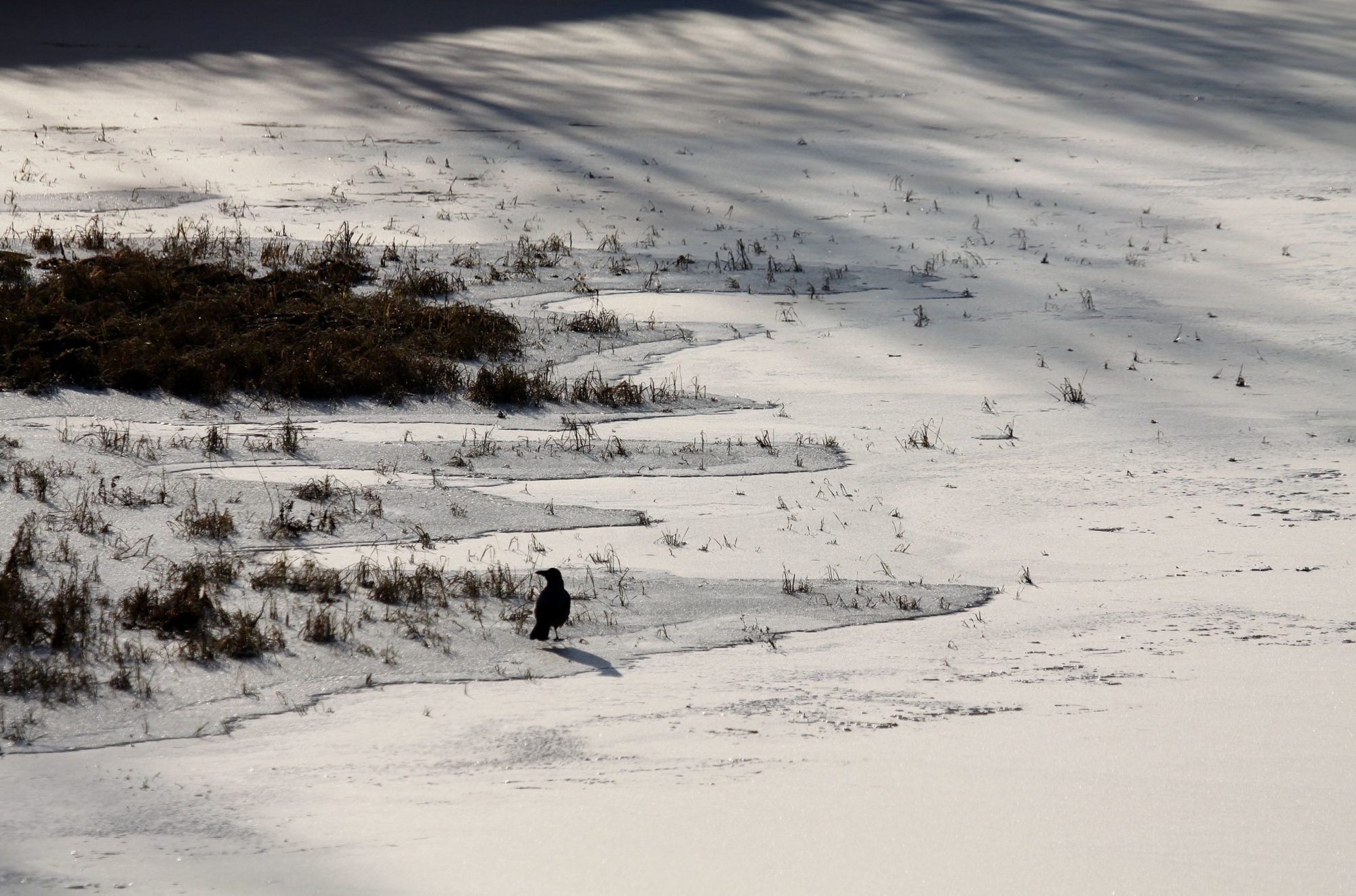 Valokuvaaja: Pirkko Siukonen