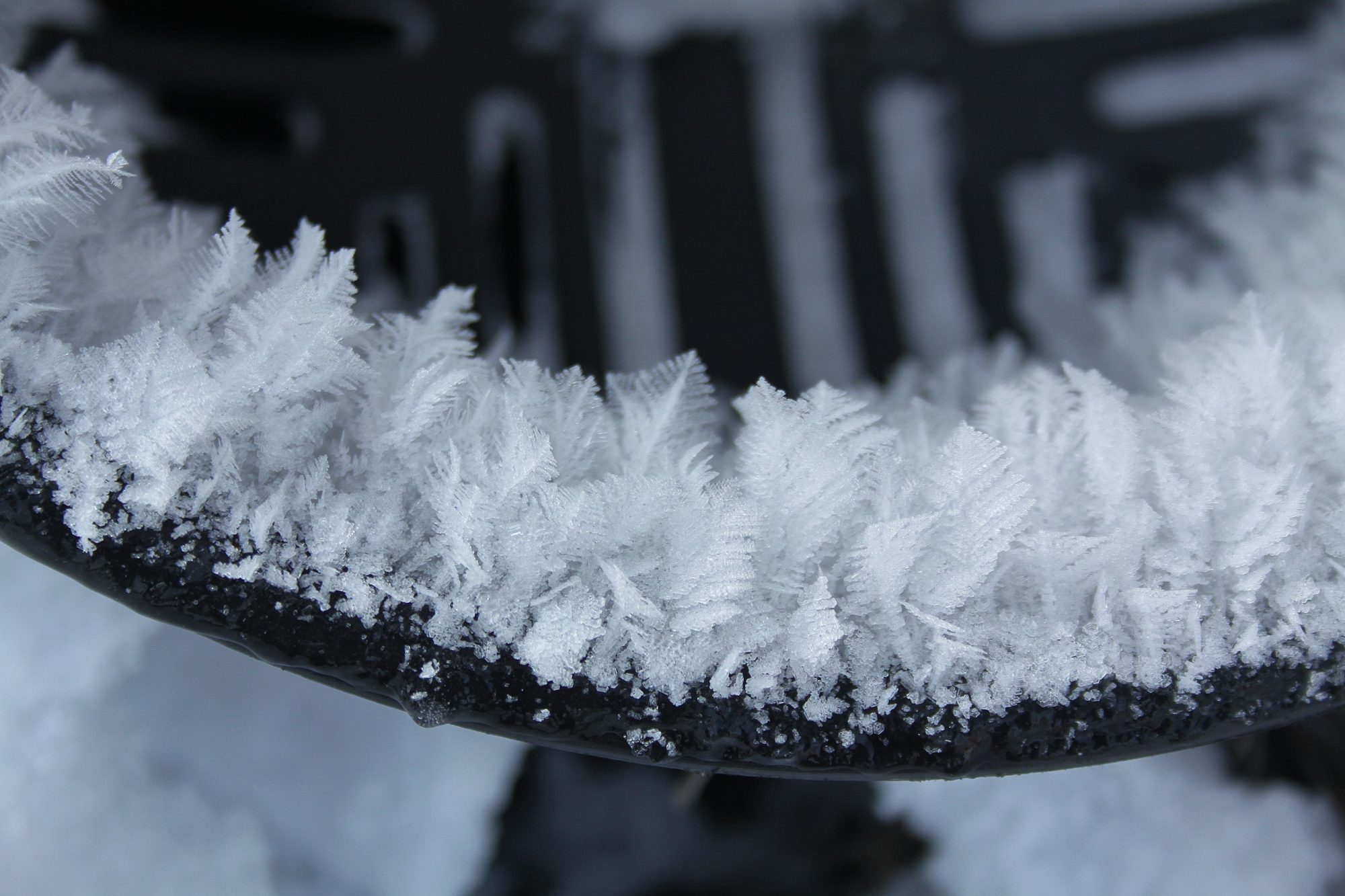 Valokuvaaja: Pirkko Siukonen