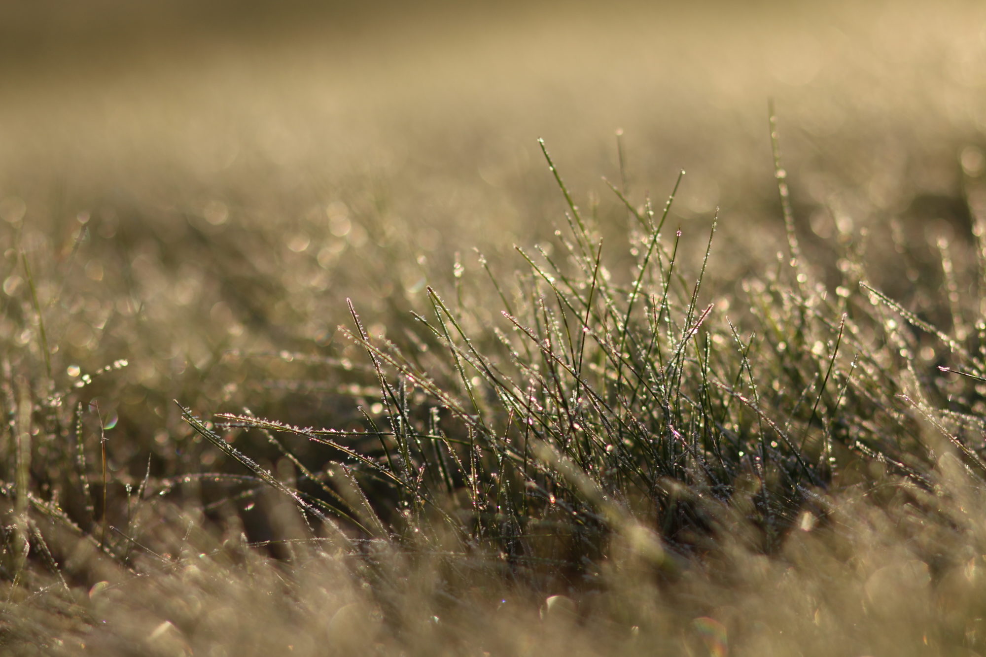 Valokuvaaja: Teija Järvenpää