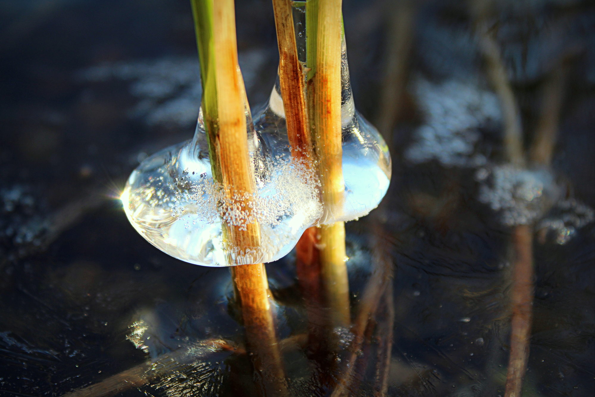 Valokuvaaja: Paula Savelius