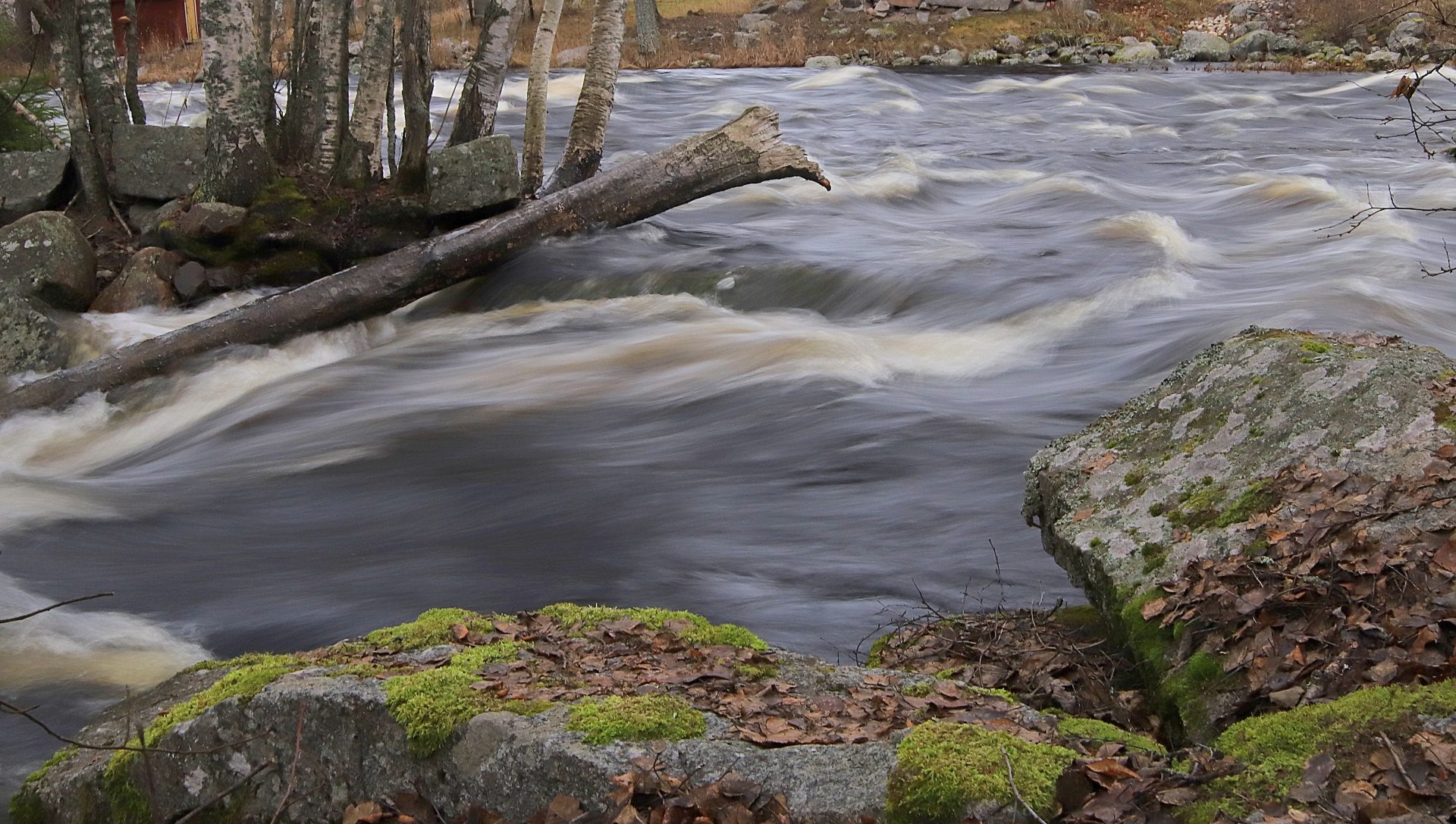 Valokuvaaja: sirpa jyske