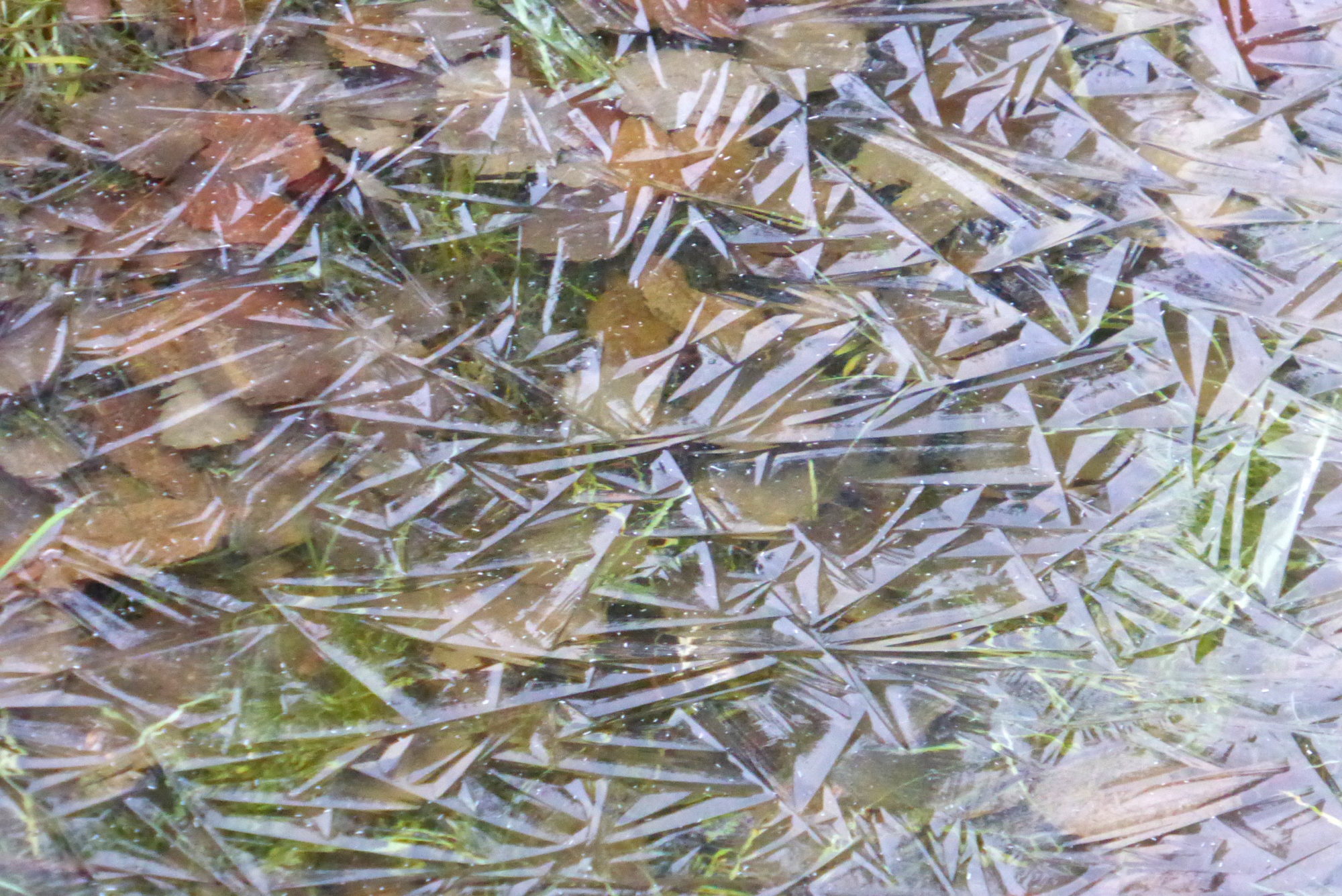 Valokuvaaja: Kaarlo Asikainen