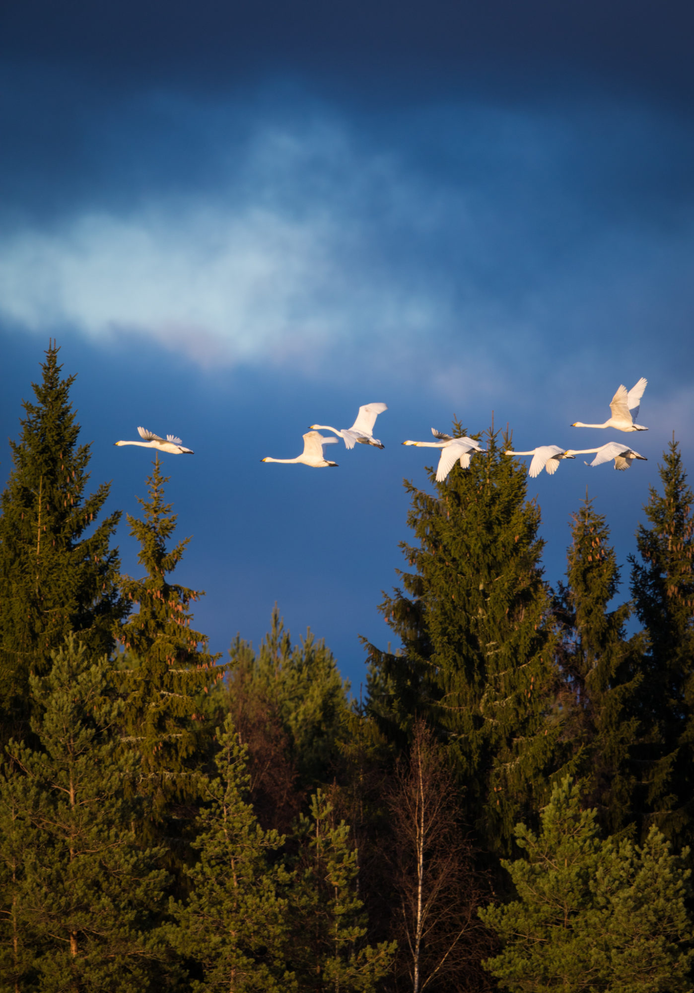 Valokuvaaja: Jukka Risikko